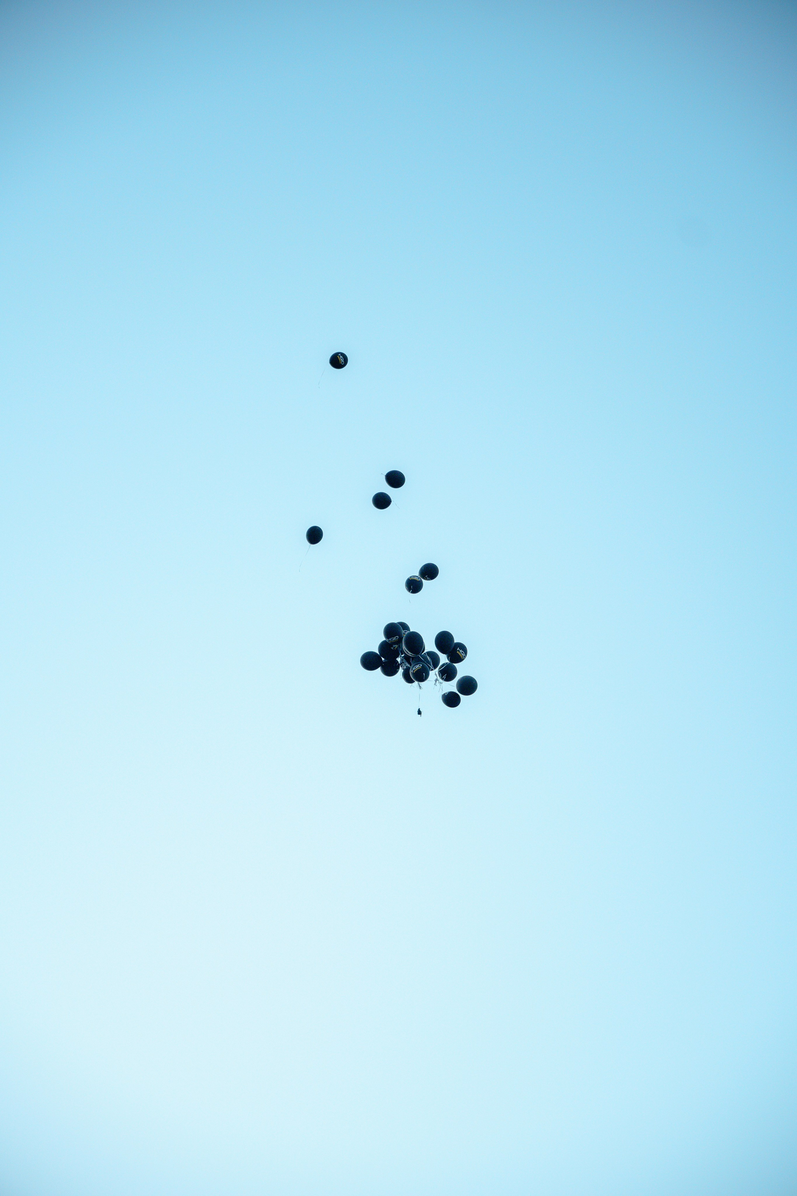 Репортажный фотограф в Сочи. Репортажный фотограф в Москве Саша Дружинина