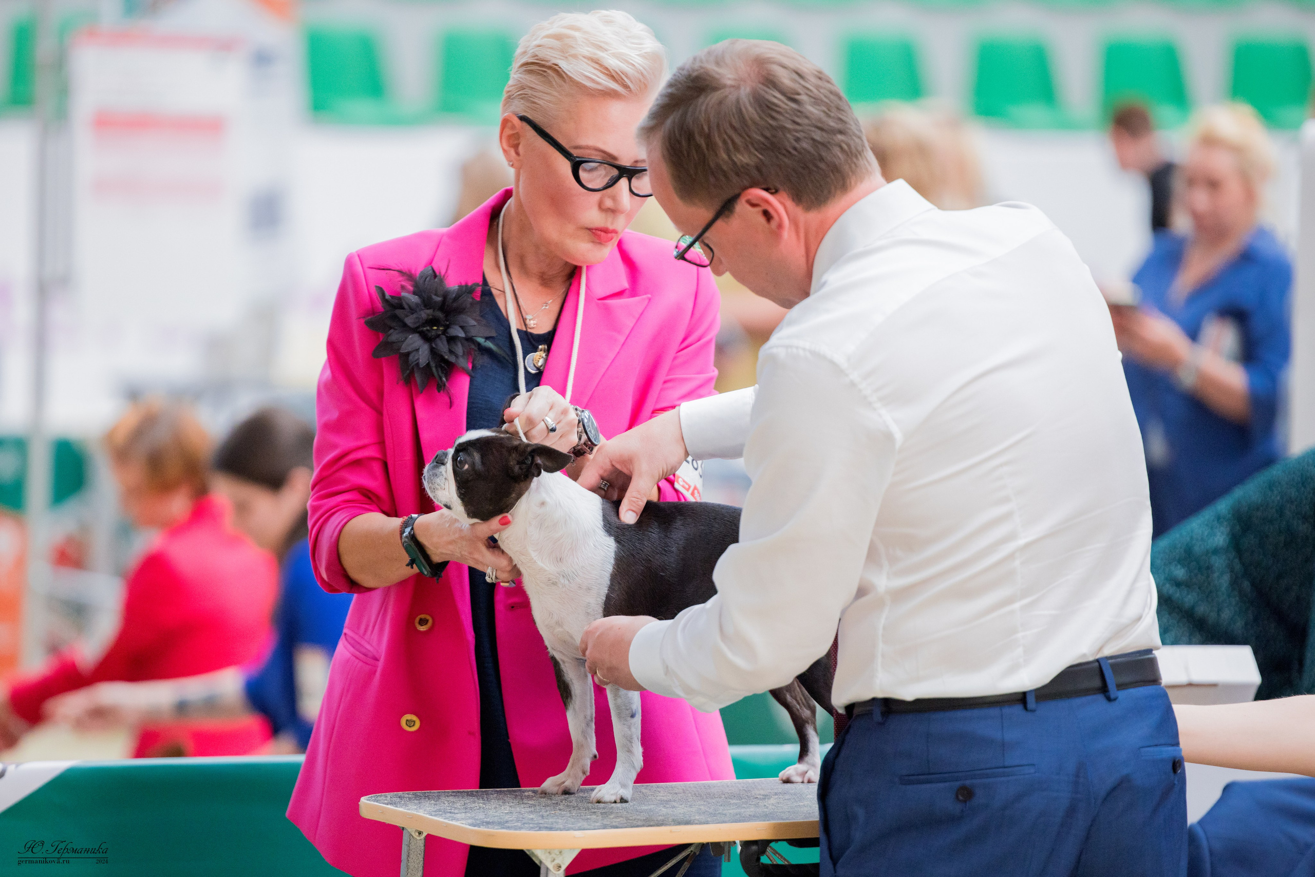 РОССИЯ 8-9.06.2024. Фотограф-анималист Юлия Германика