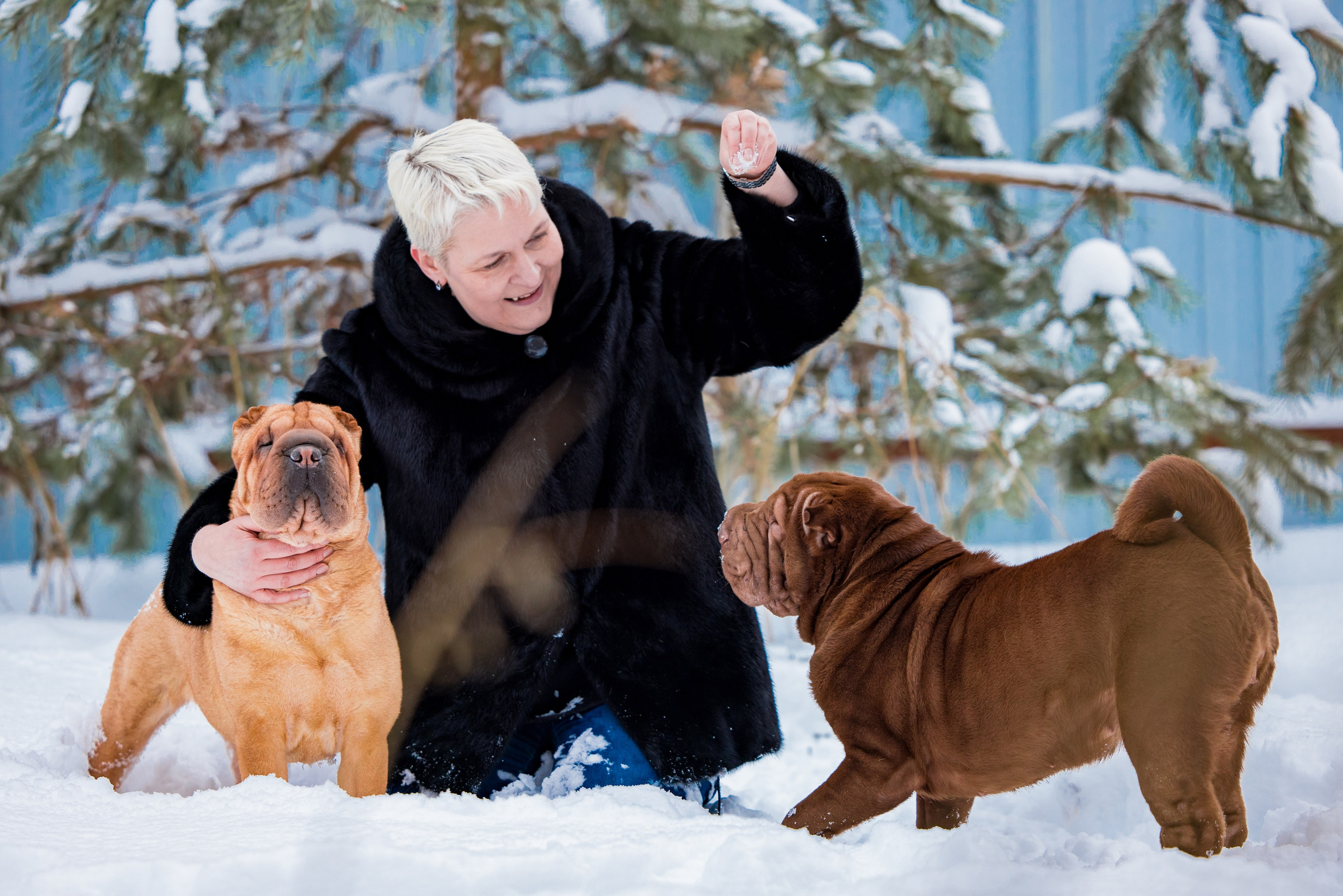 В гостях у шарпеев 16.01.2024. Фотограф-анималист Юлия Германика