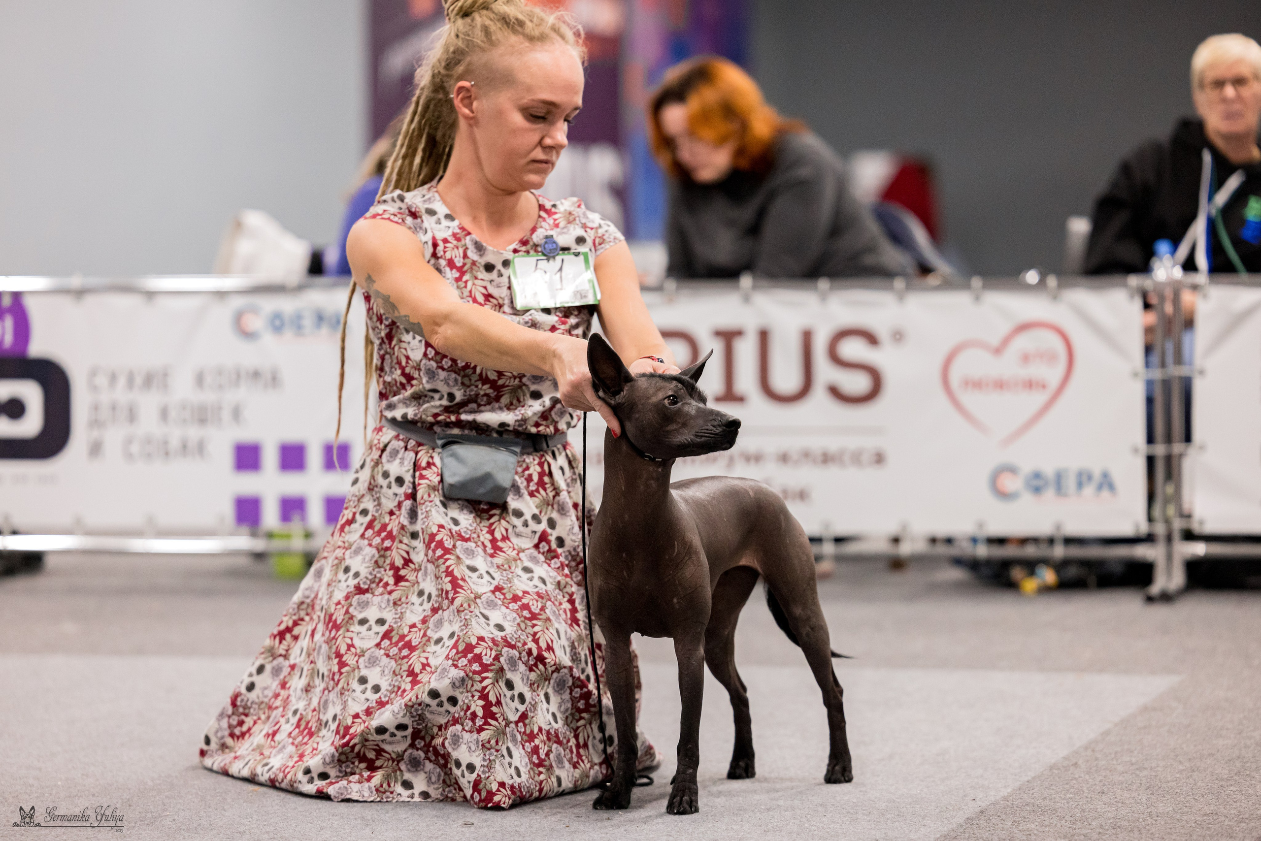 Сфера 29.10,Крокус 4.11,Сфера 12.11.2023. Фотограф-анималист Юлия Германика