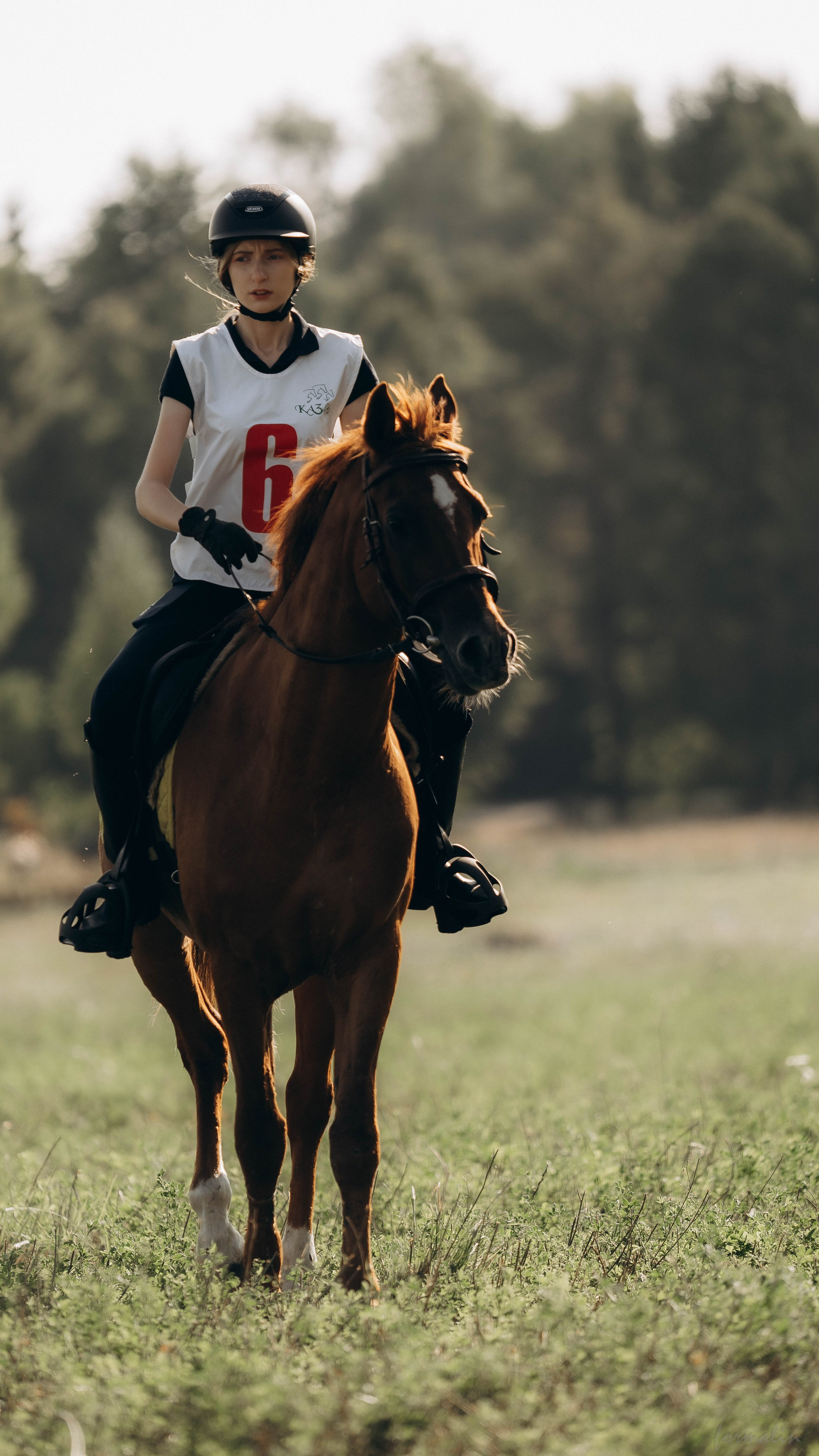 День Коня. Алиса Никитцова | Фотограф в Казани