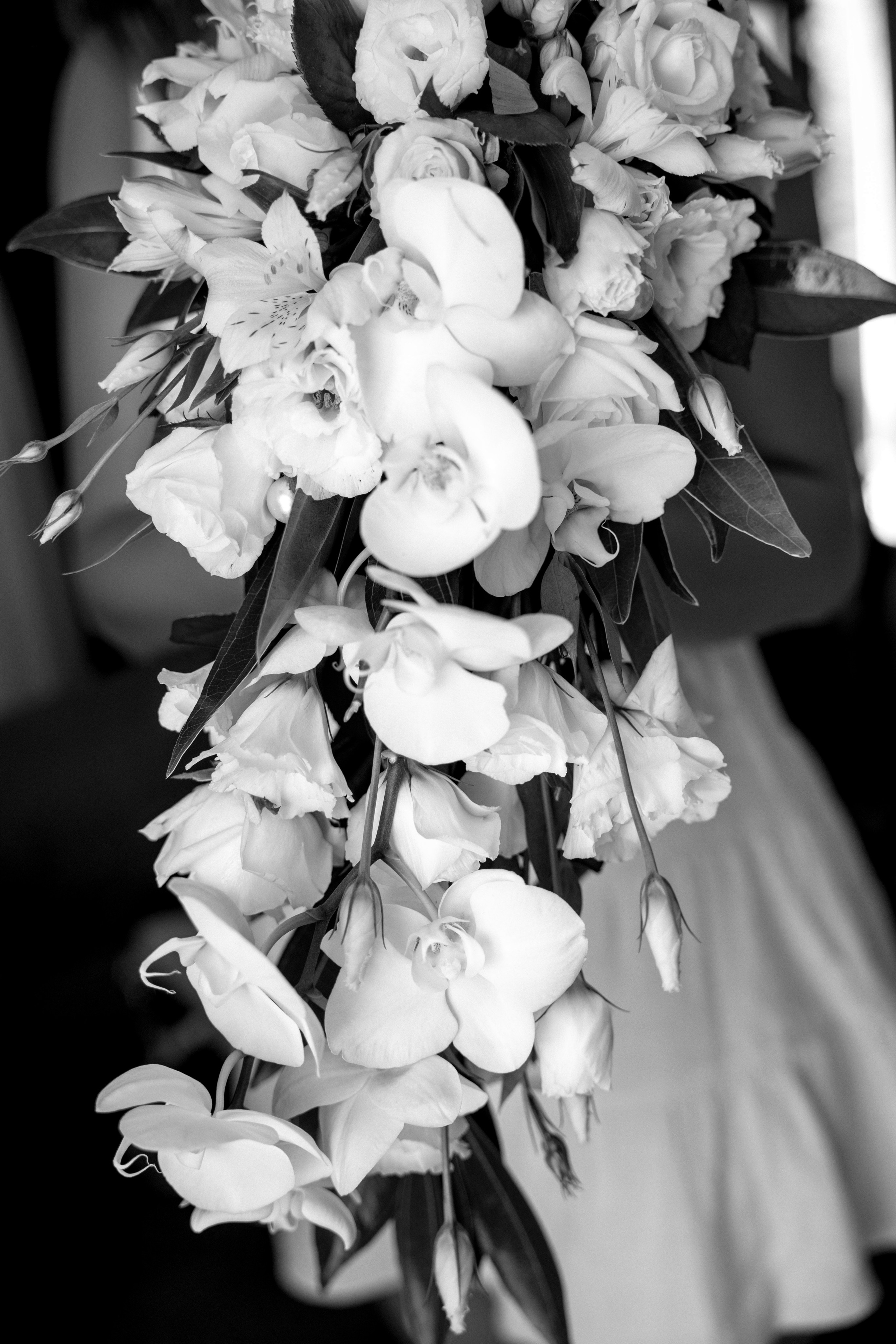 Esmail & Yasmin |Israel|Morning and couple photoshoot. Главная