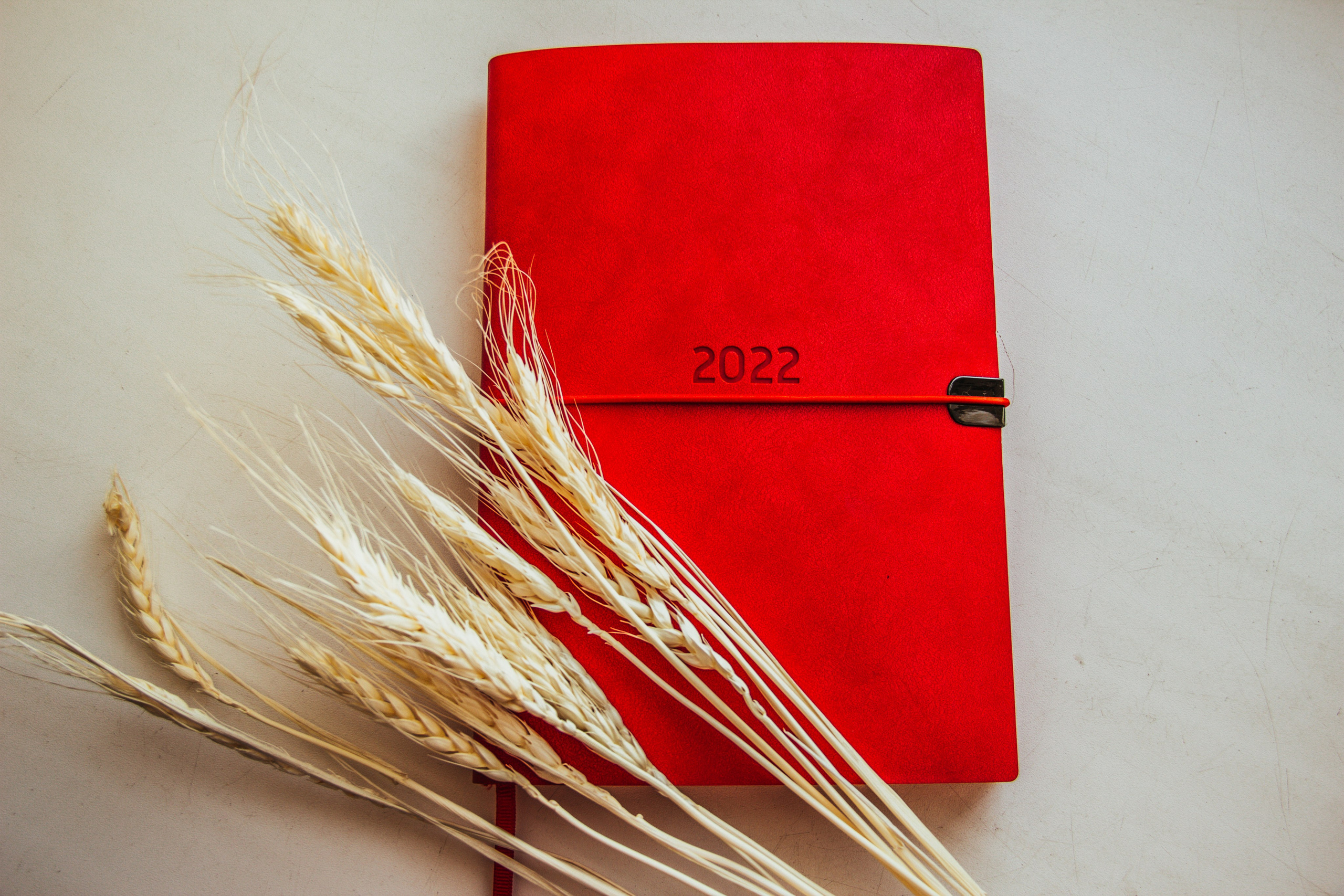 12.04.2022. Свадебный и семейный фотограф в Нижневартовске Татьяна Мартынова