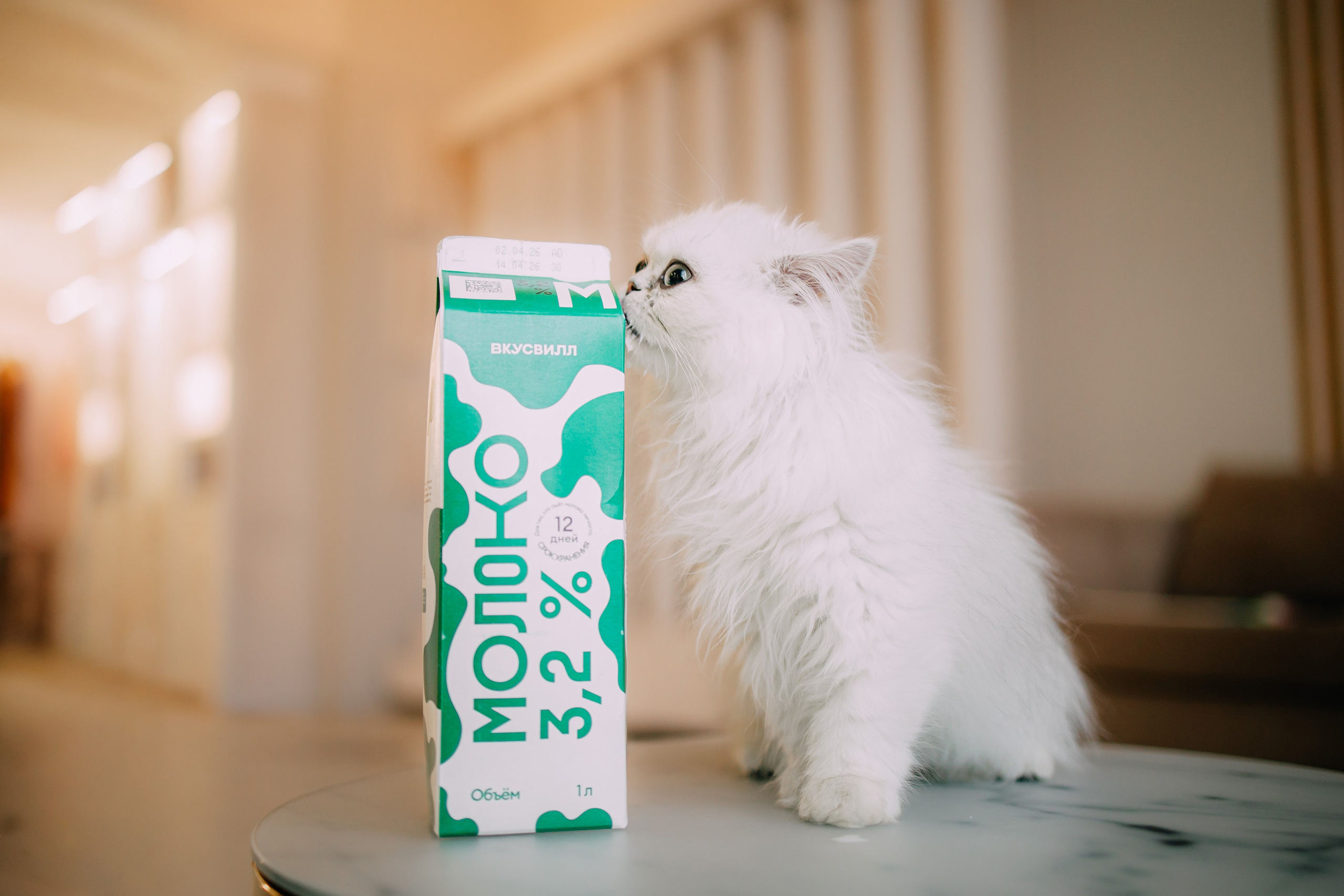 Султан, Мэй Мэй и Шанталь и их семья