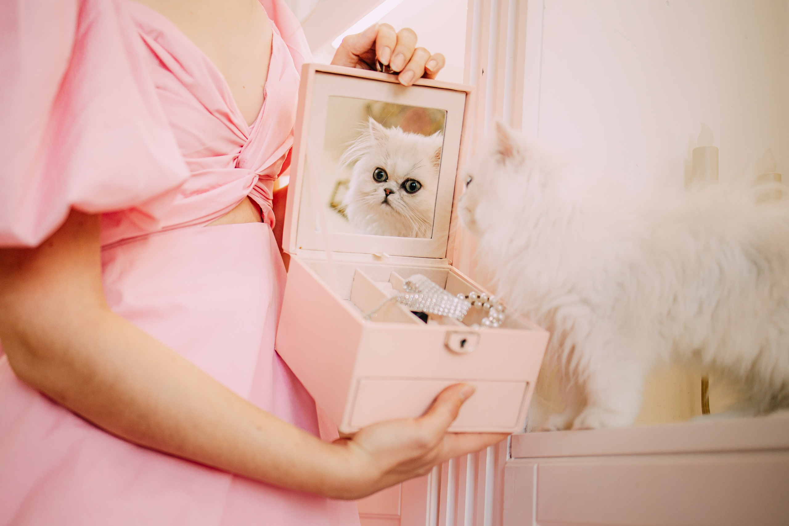 Султан, Мэй Мэй и Шанталь и их семья