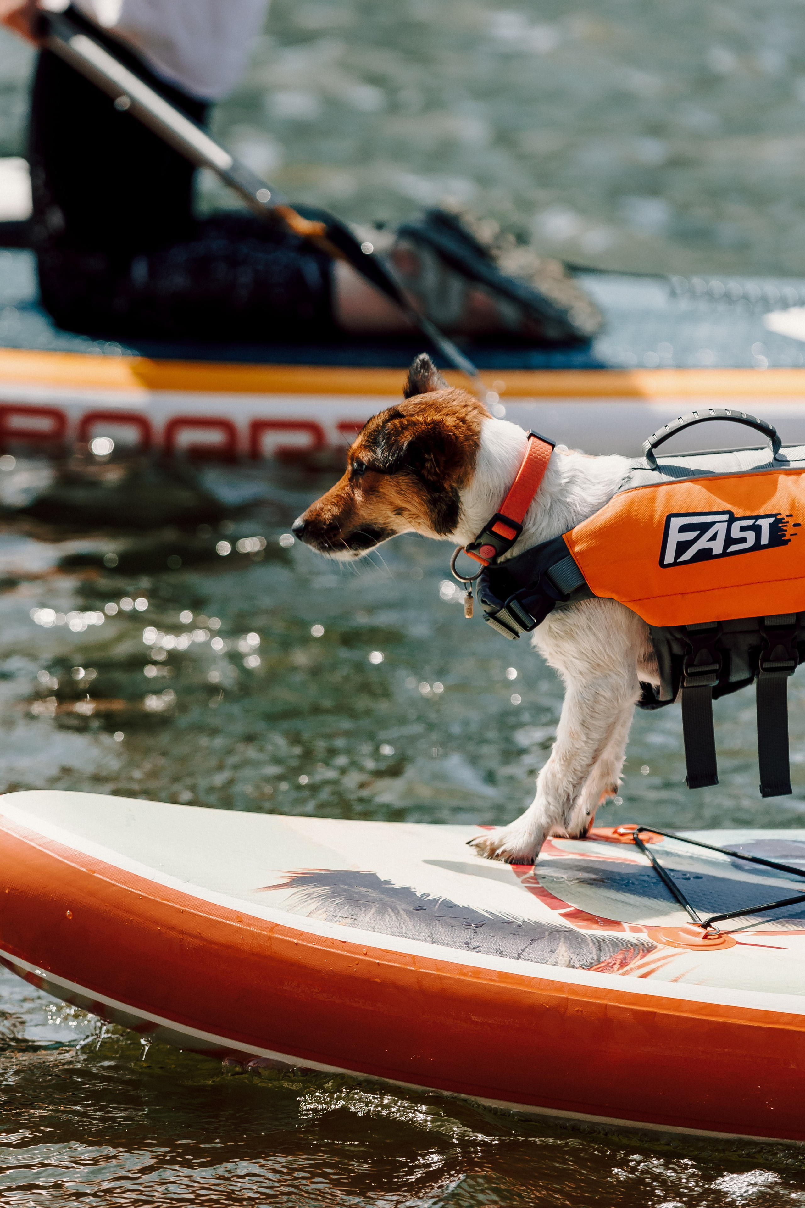 E1 Sup Fest 2024. Лёшка Варзегов — фотограф
