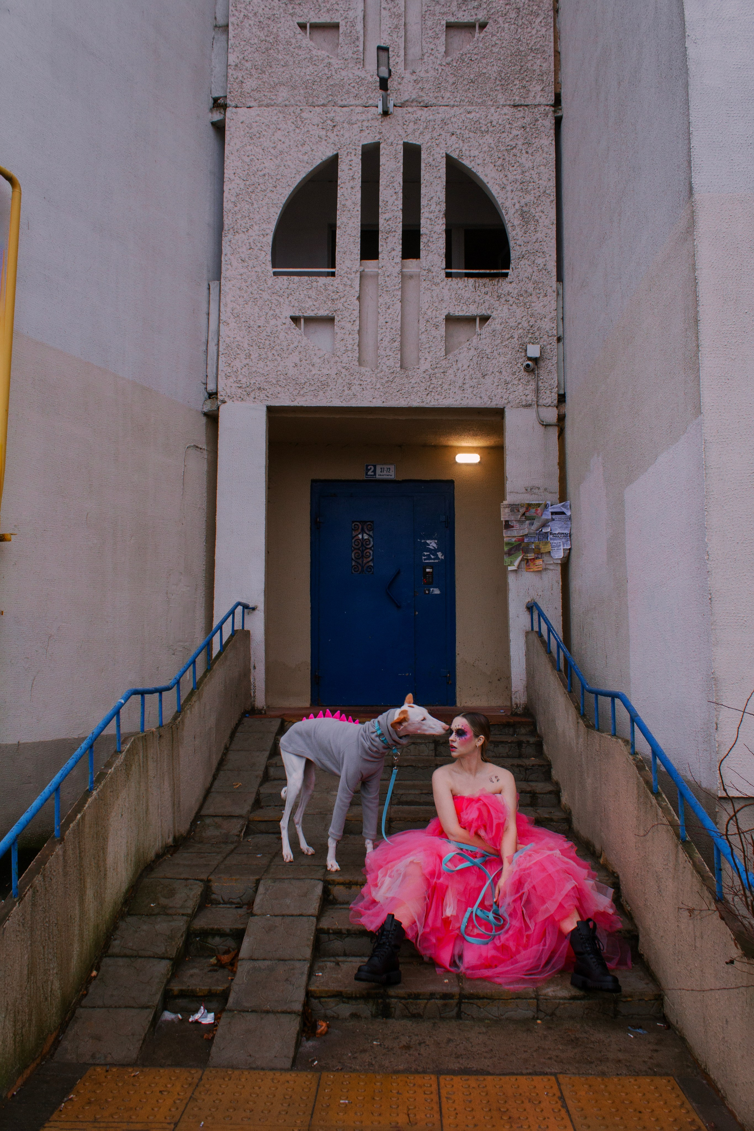 Яркая собачья жизнь