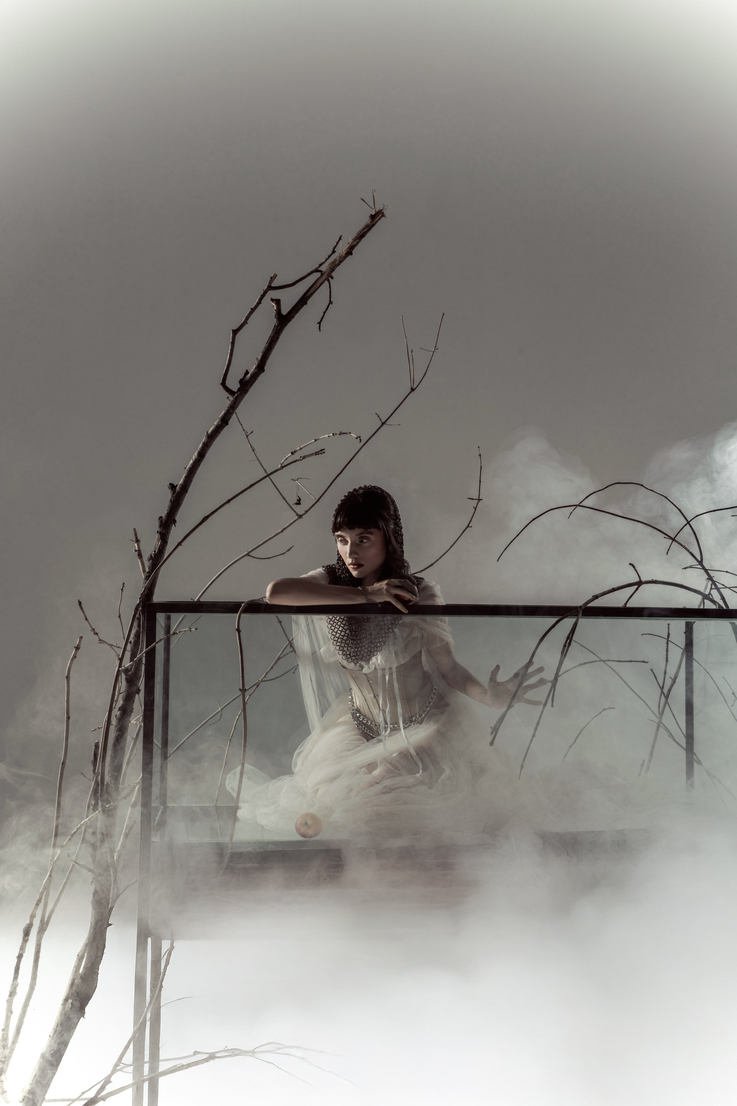Белоснежка. Фотограф Anita Mivchas
