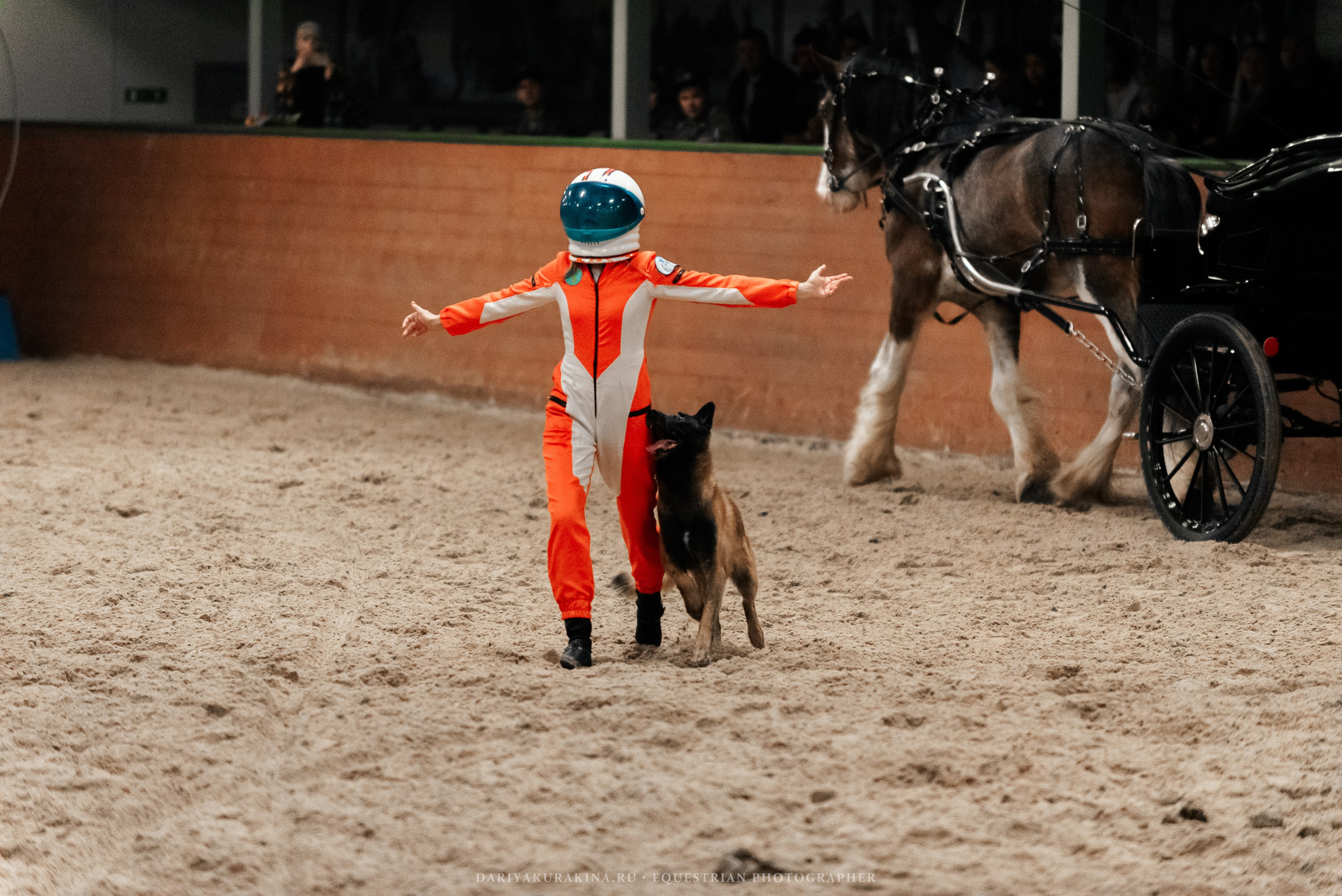Конное представление «Дыхание Звёзд». Конный фотограф Куракина Дарья • Фотосессии с лошадьми