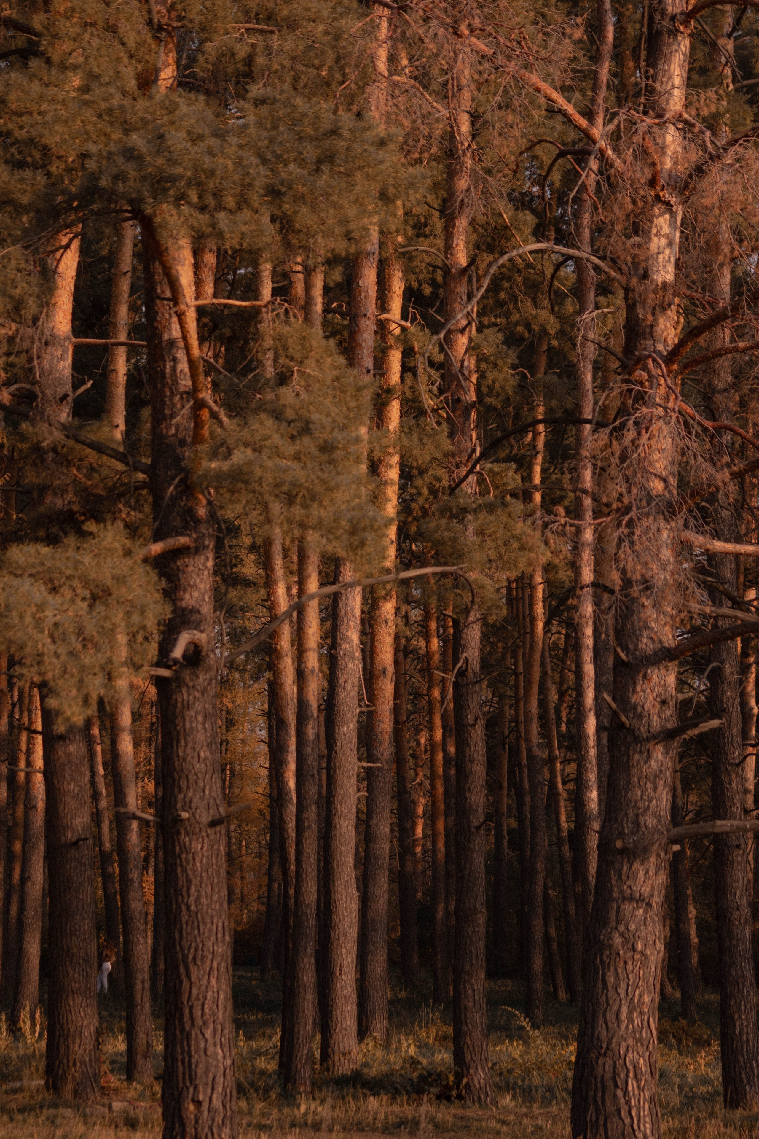 Визуальный дневник. Репортажный фотограф в Алматы Цой Сергей