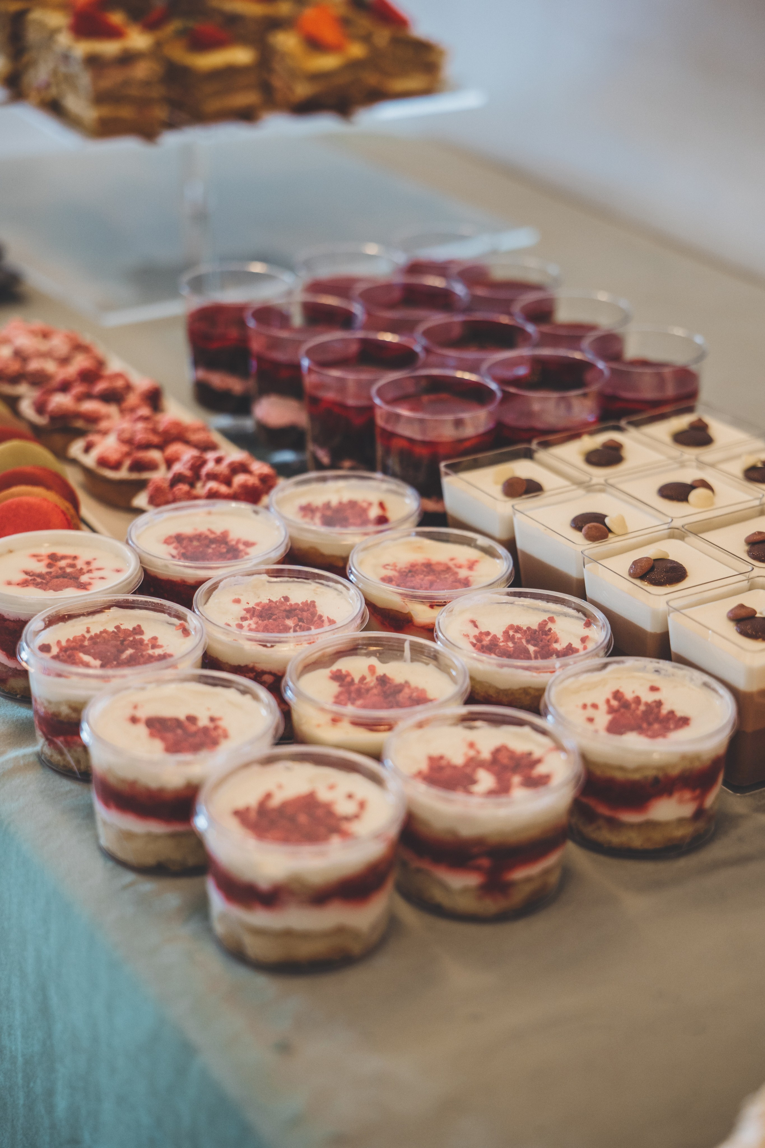 Вениамин и Вера. Свадебная и семейная фотография в Курске Адамян Давид