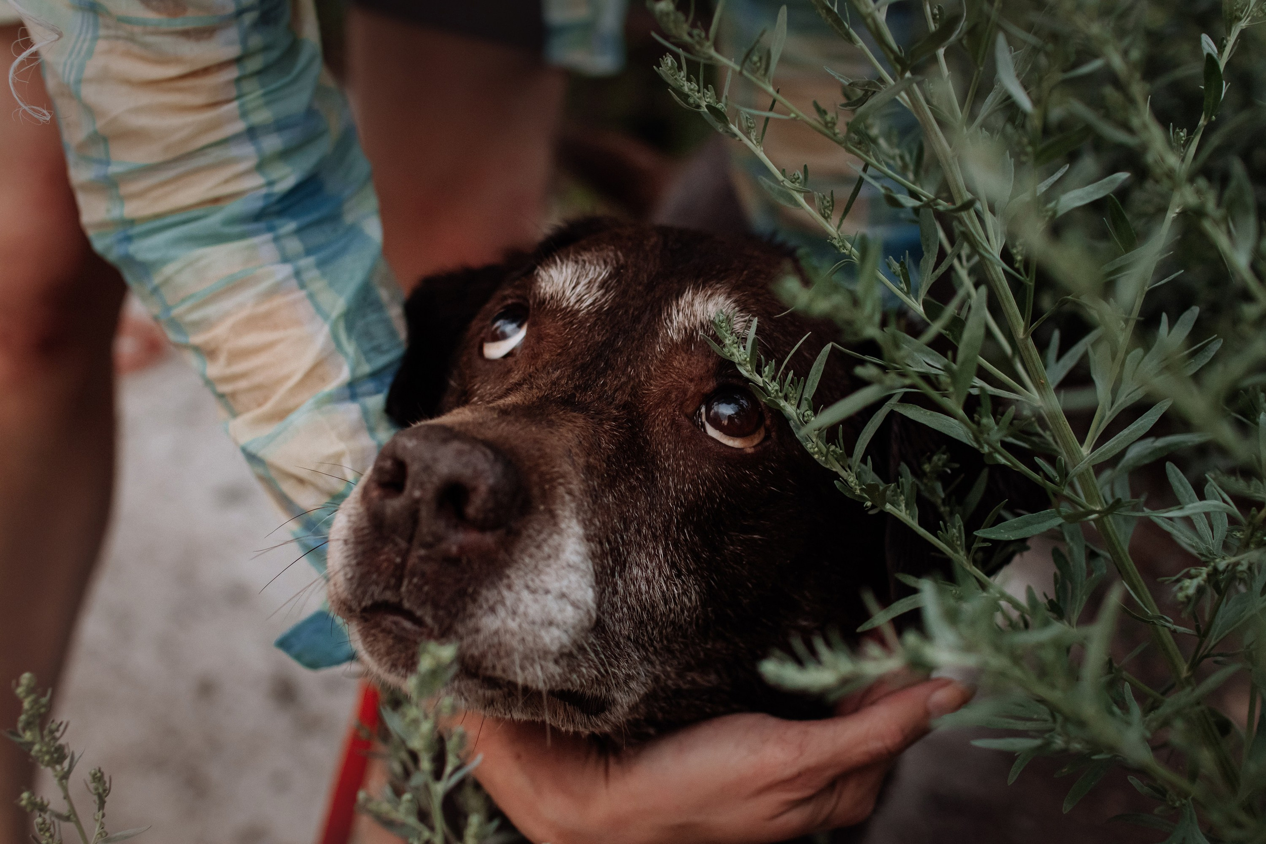 Юля и Свити. Фотограф Наталья Потапова