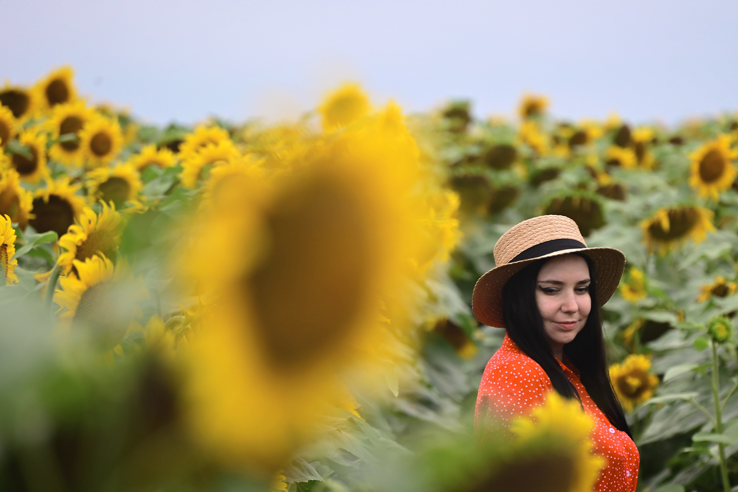 Девушка в шляпе в поле с подсолнухами
