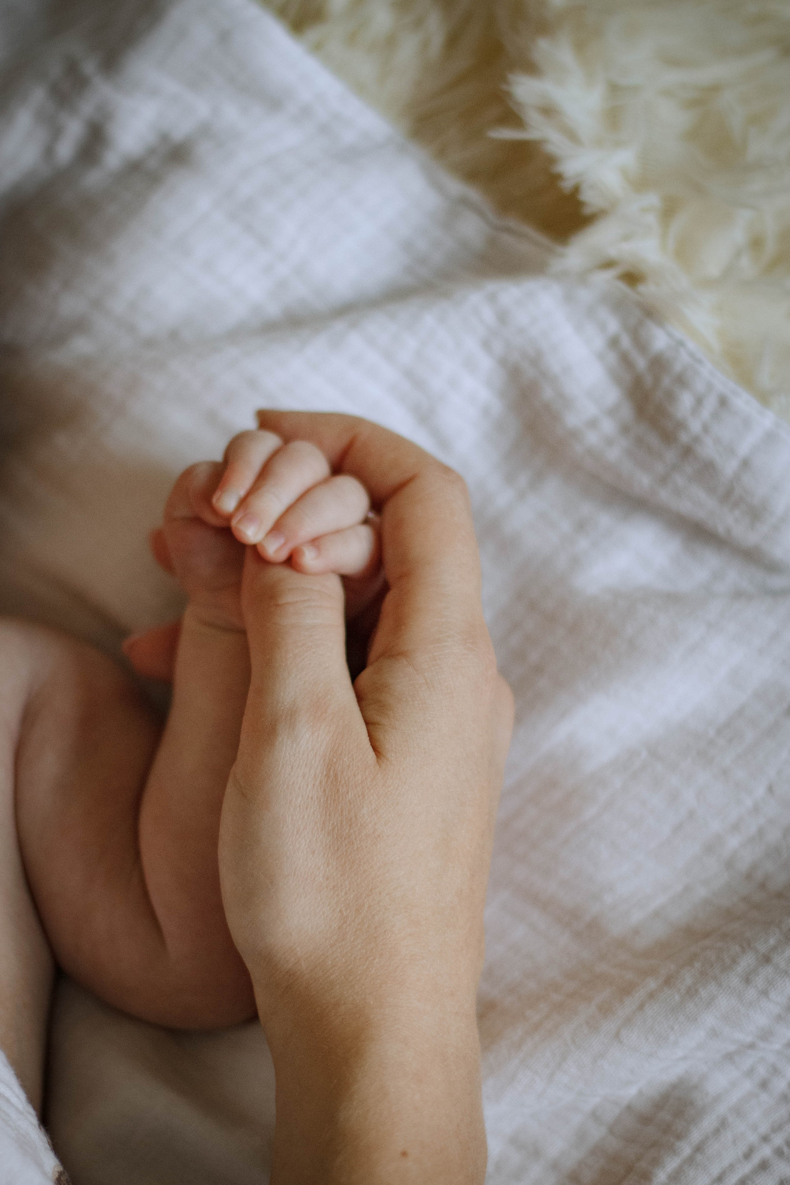 Крохотная нежность. Семейный и детский фотограф в Павловском Посаде Сарапкина Наталья