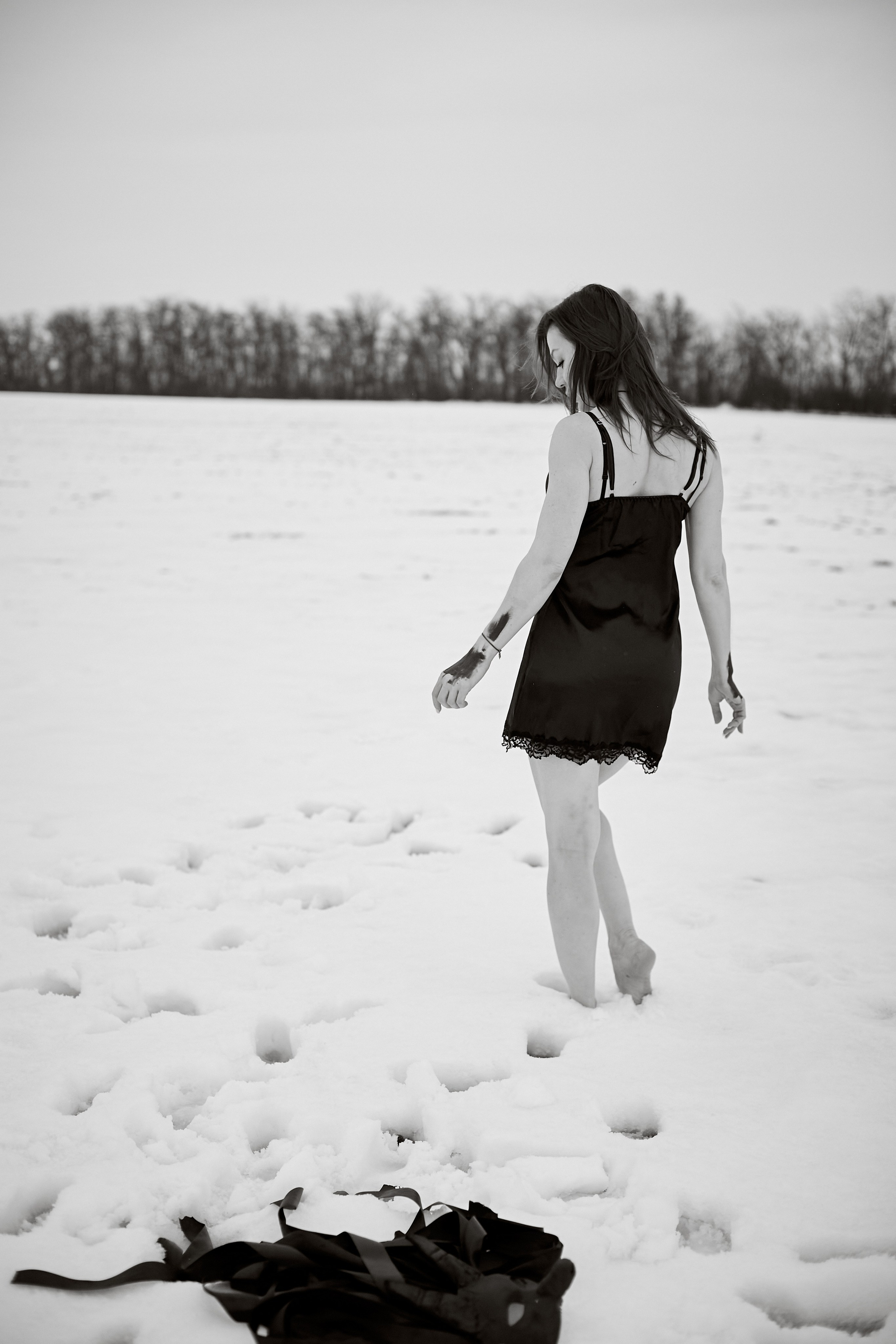 «Снежная волчица». Свадебный и креативный фотограф в ЮФО