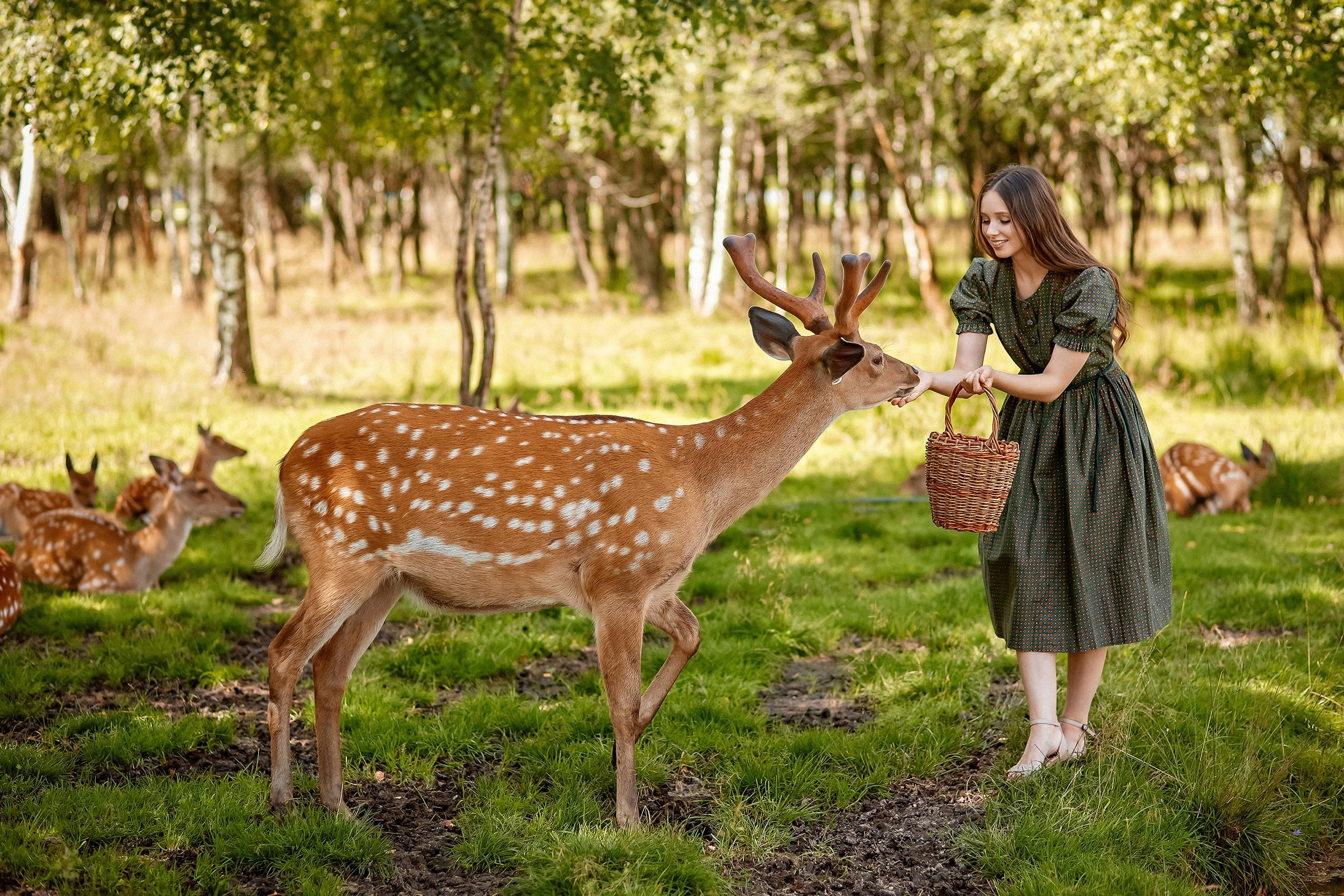 Индивидуальная. Свадебный и портретный фотограф Roxana Imp Тверь Москва