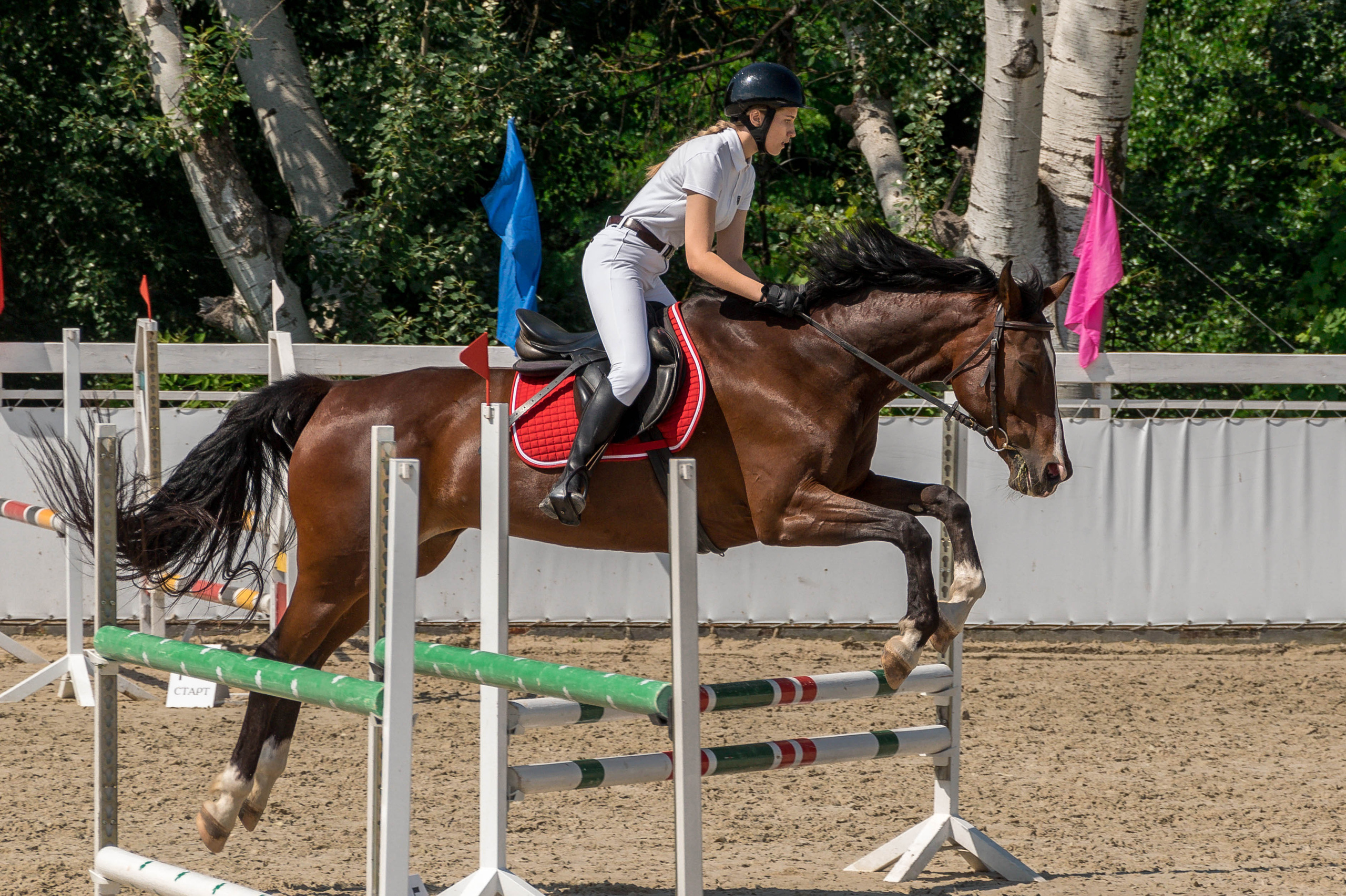Муниципальные соревнования в КСК «Качи-Кальон». Фотограф в Севастополе