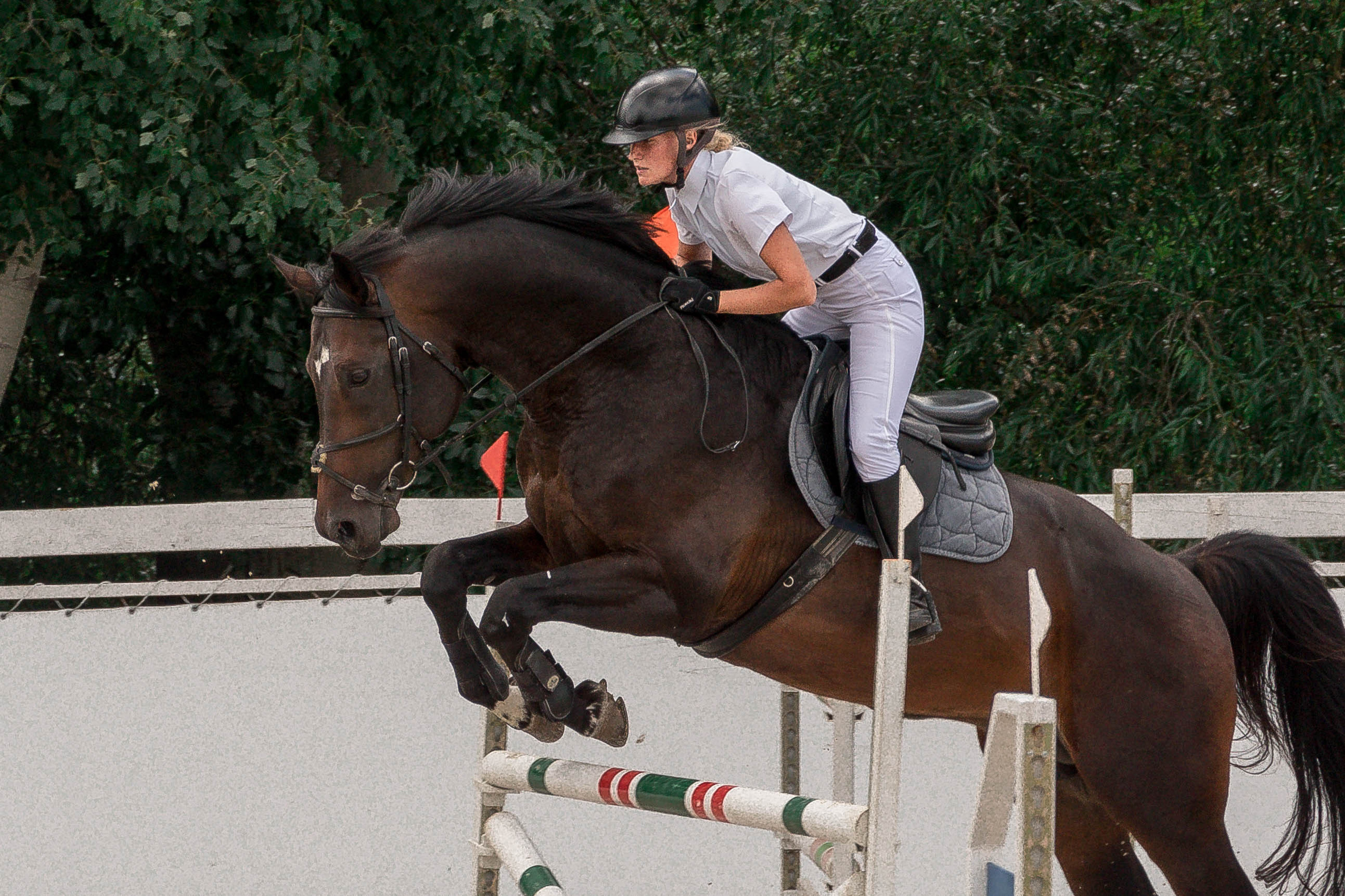 Муниципальные соревнования в КСК «Качи-Кальон». Фотограф в Севастополе