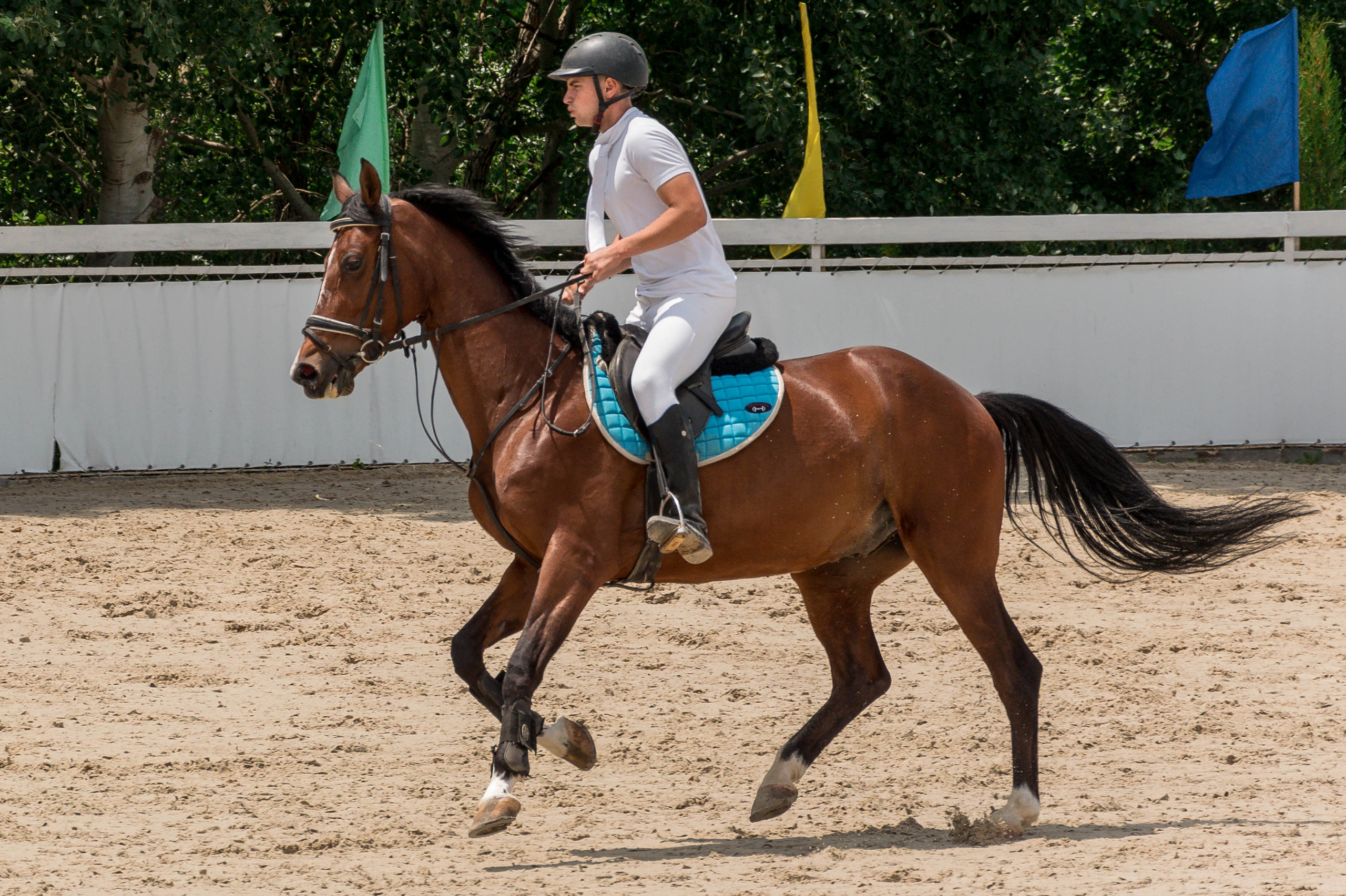 Муниципальные соревнования в КСК «Качи-Кальон». Фотограф в Севастополе