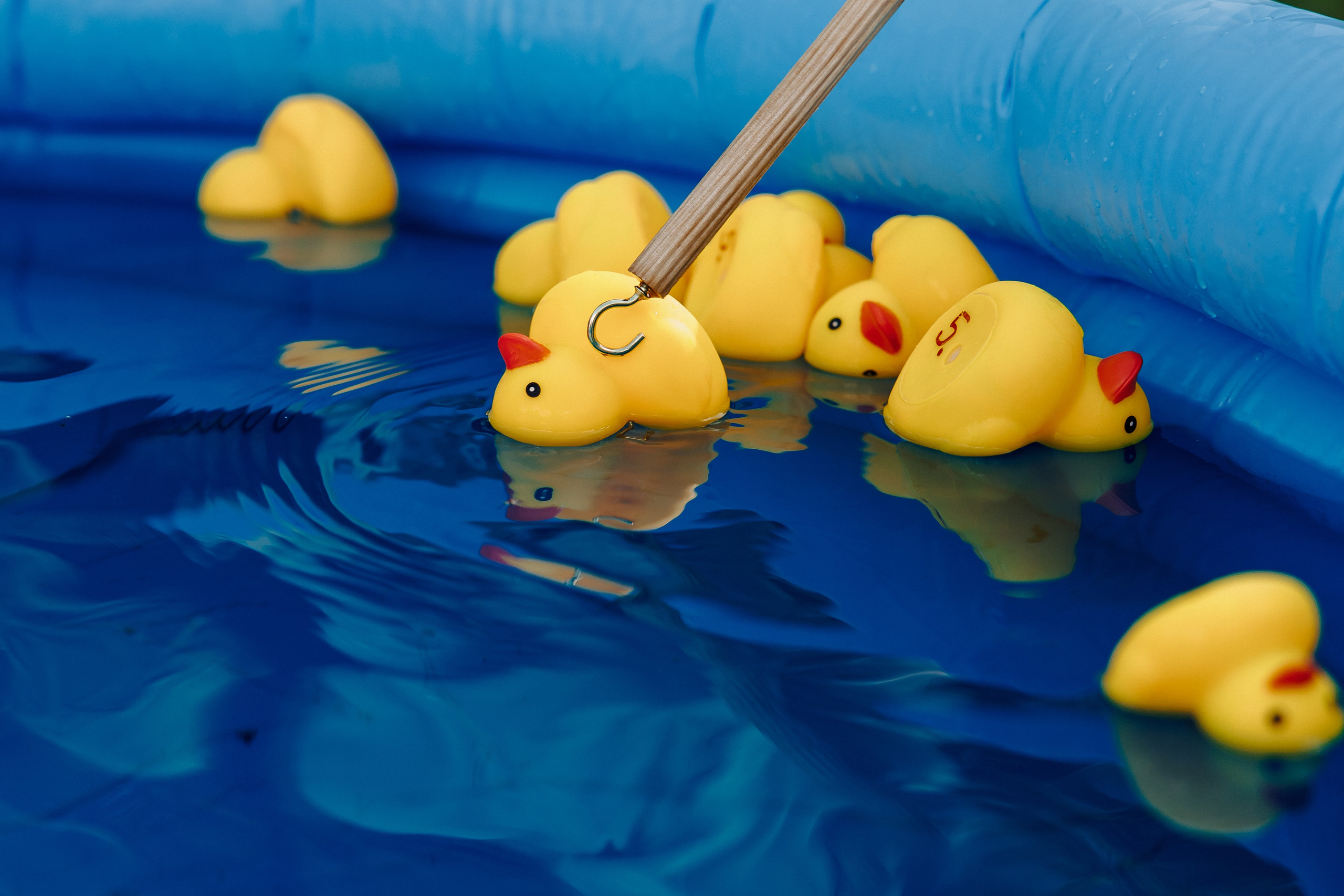 Массовые мероприятия на открытом воздухе. Лёшка Варзегов — фотограф