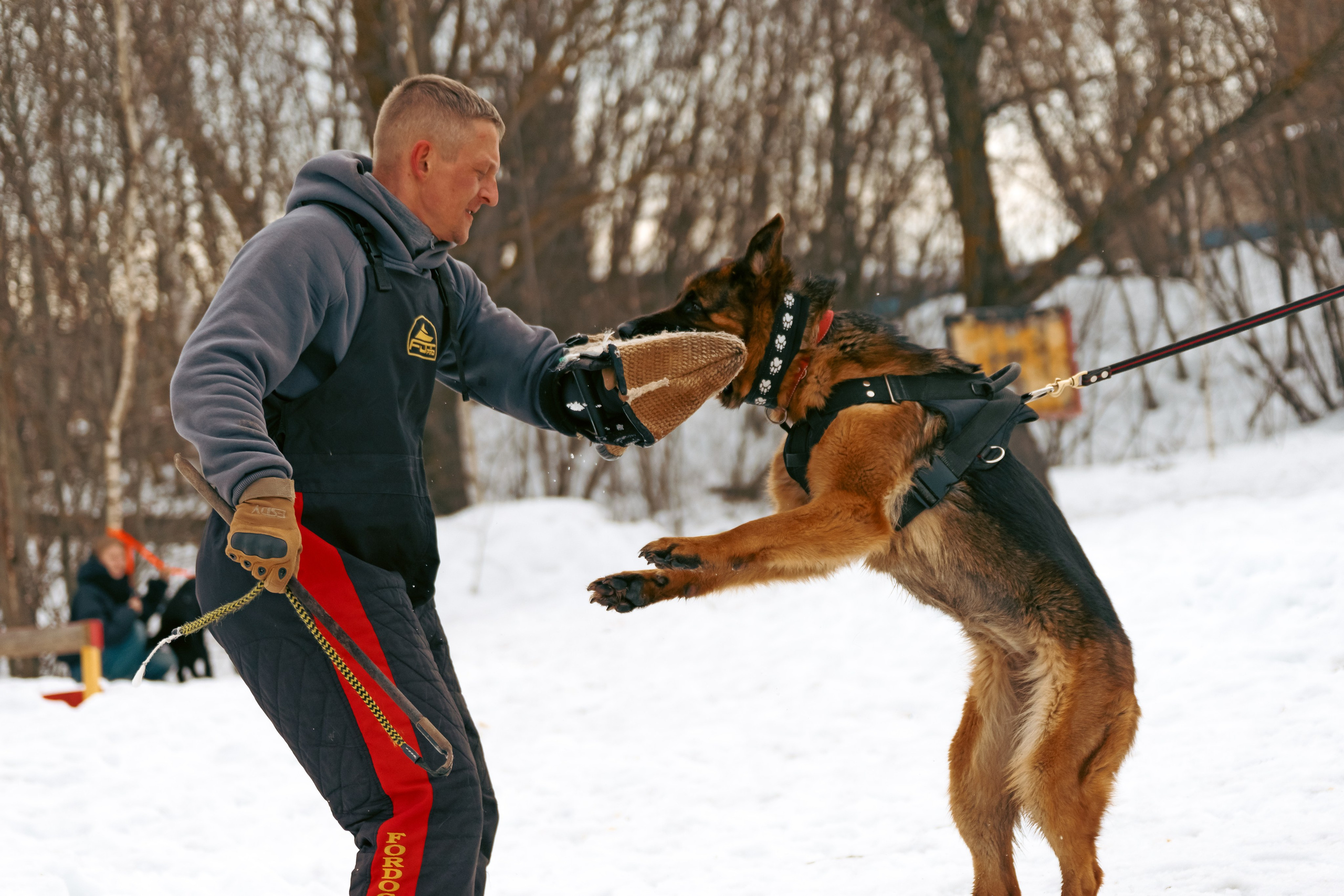 Репортажная съемка. Фотограф-анималист Нижний Новгород