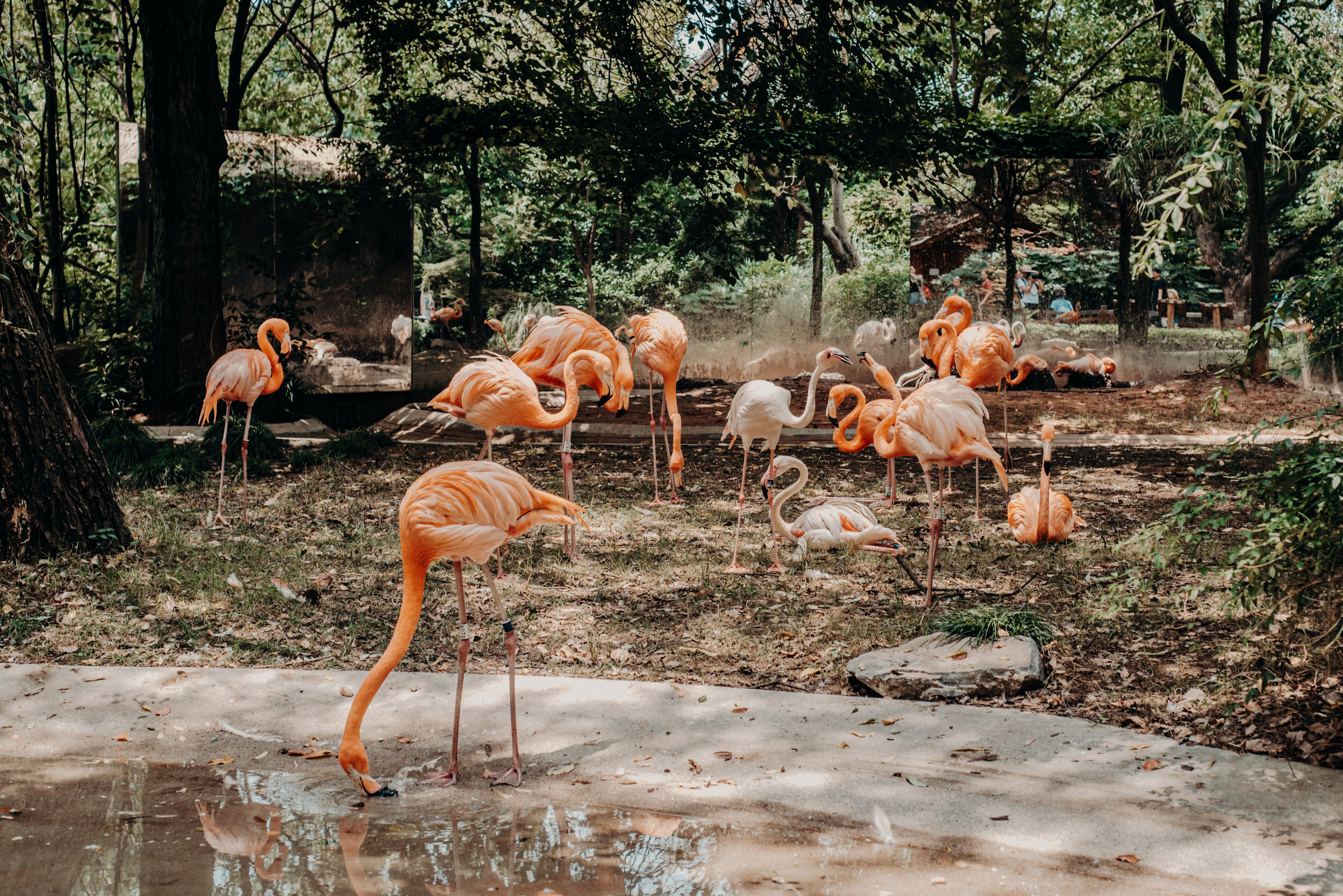 Рекламный фотограф из Гуанчжоу: вдохновение в улицах Шанхая. Коммерческий и предметный фотограф в Гуанчжоу Коваленко Александр