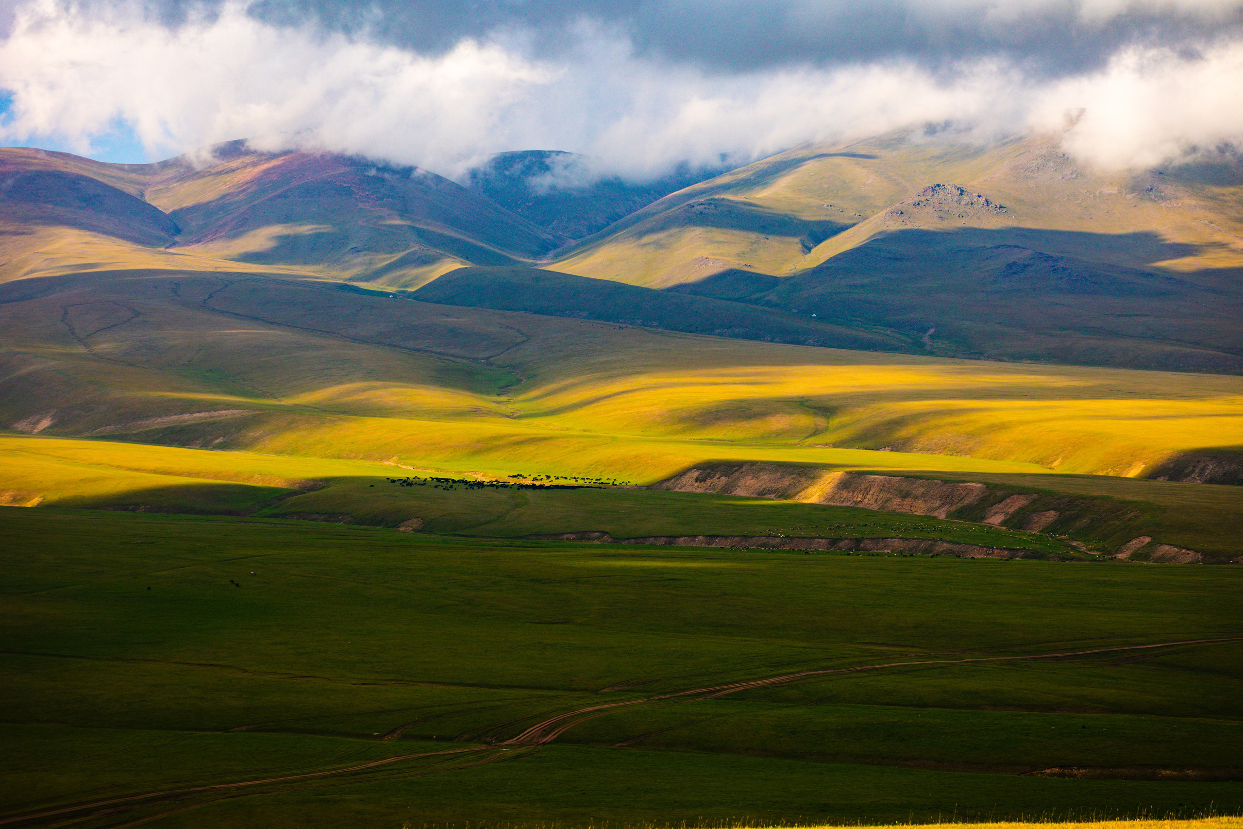 Плато Ассы. Экскурсии и туры по Алматы