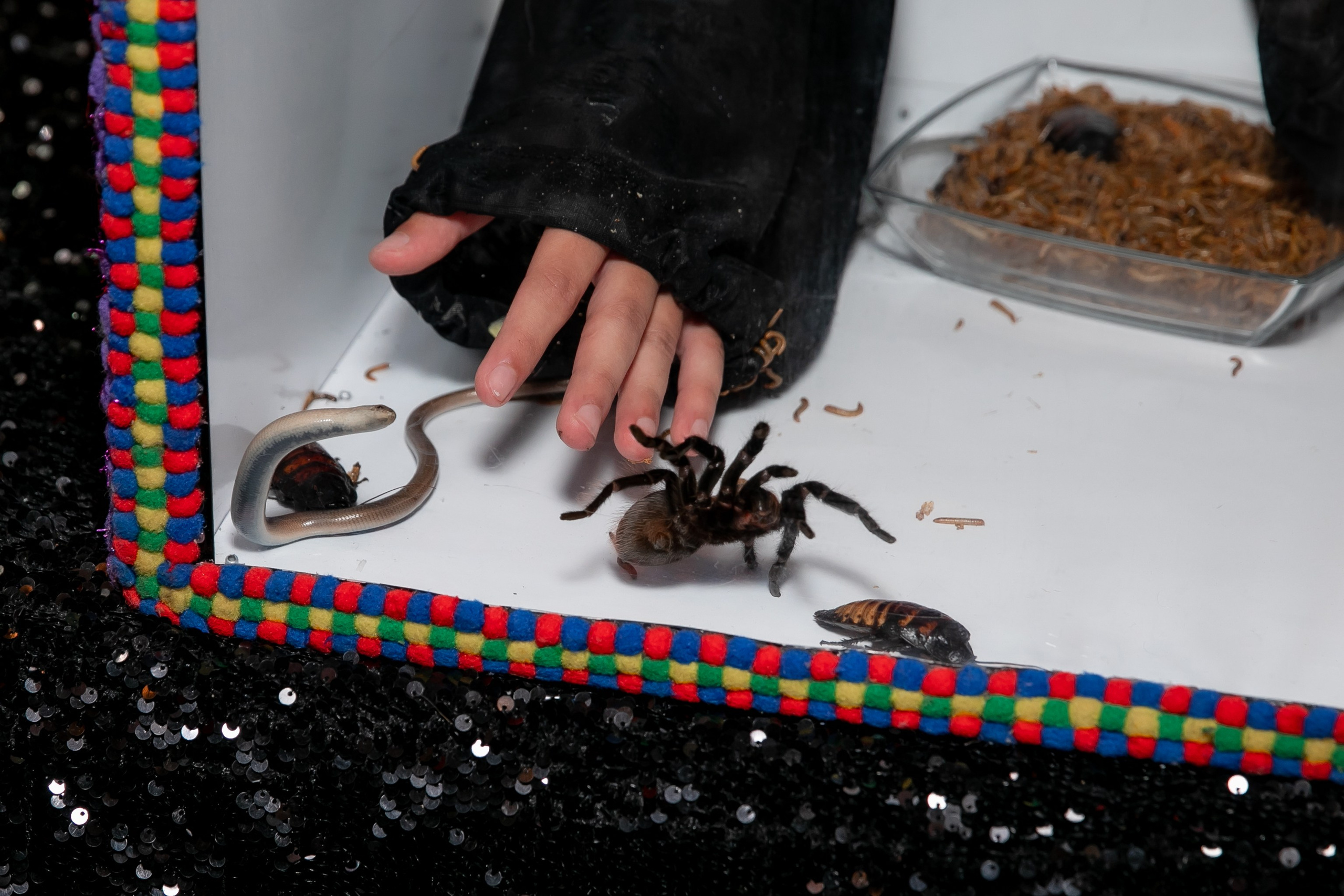 Дни рождения взрослые. Семейный фотограф в Москве