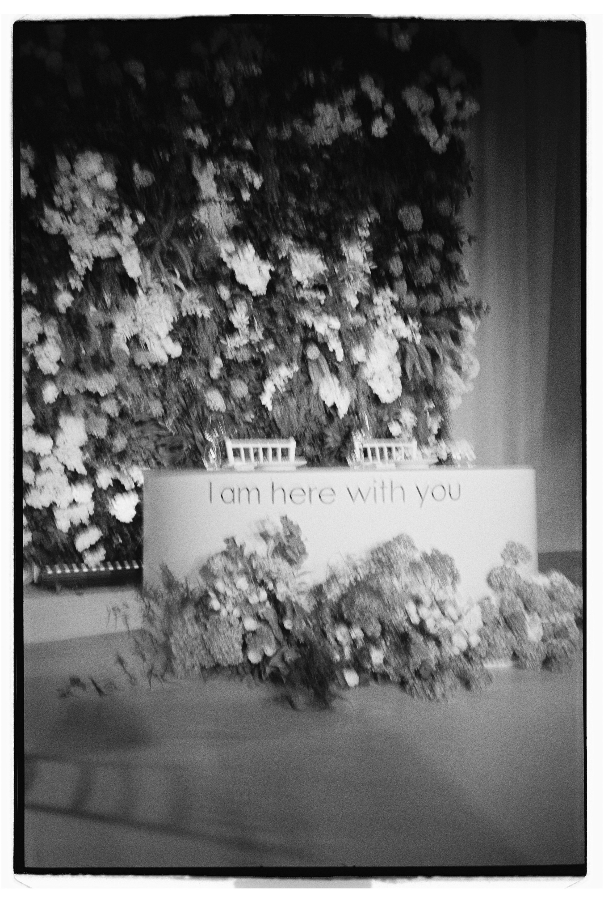 СВАДЕБНЫЕ СЕРИИ. Свадебный Фотограф Толстой Константин