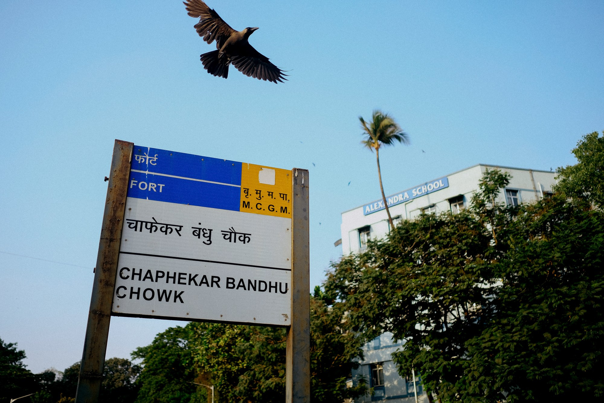 INDIA. Фотограф Дмитрий Олрайт | Калуга, Россия