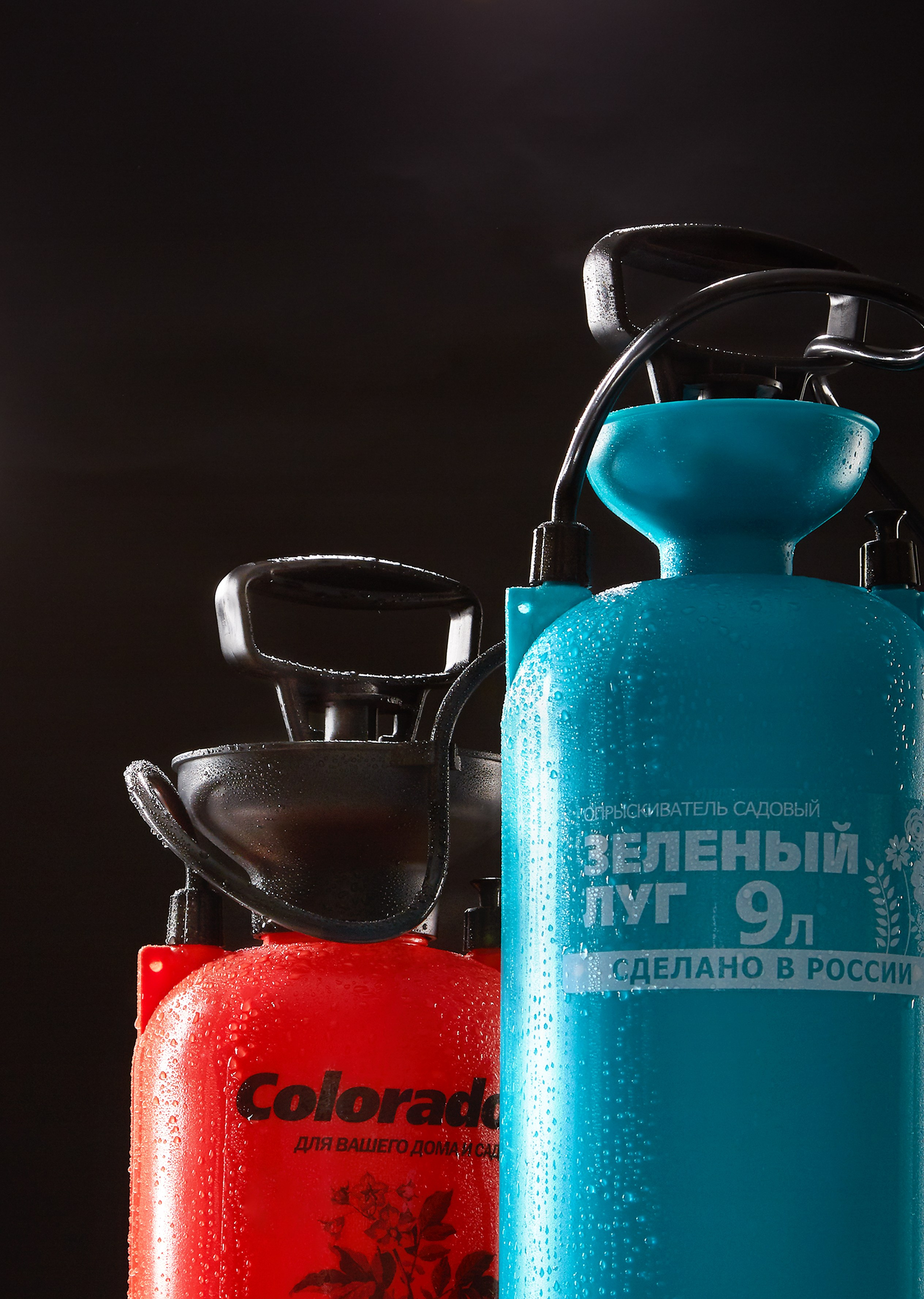 Without PROCESSING. Max Matvich and Victoria Basova are professionals in their field