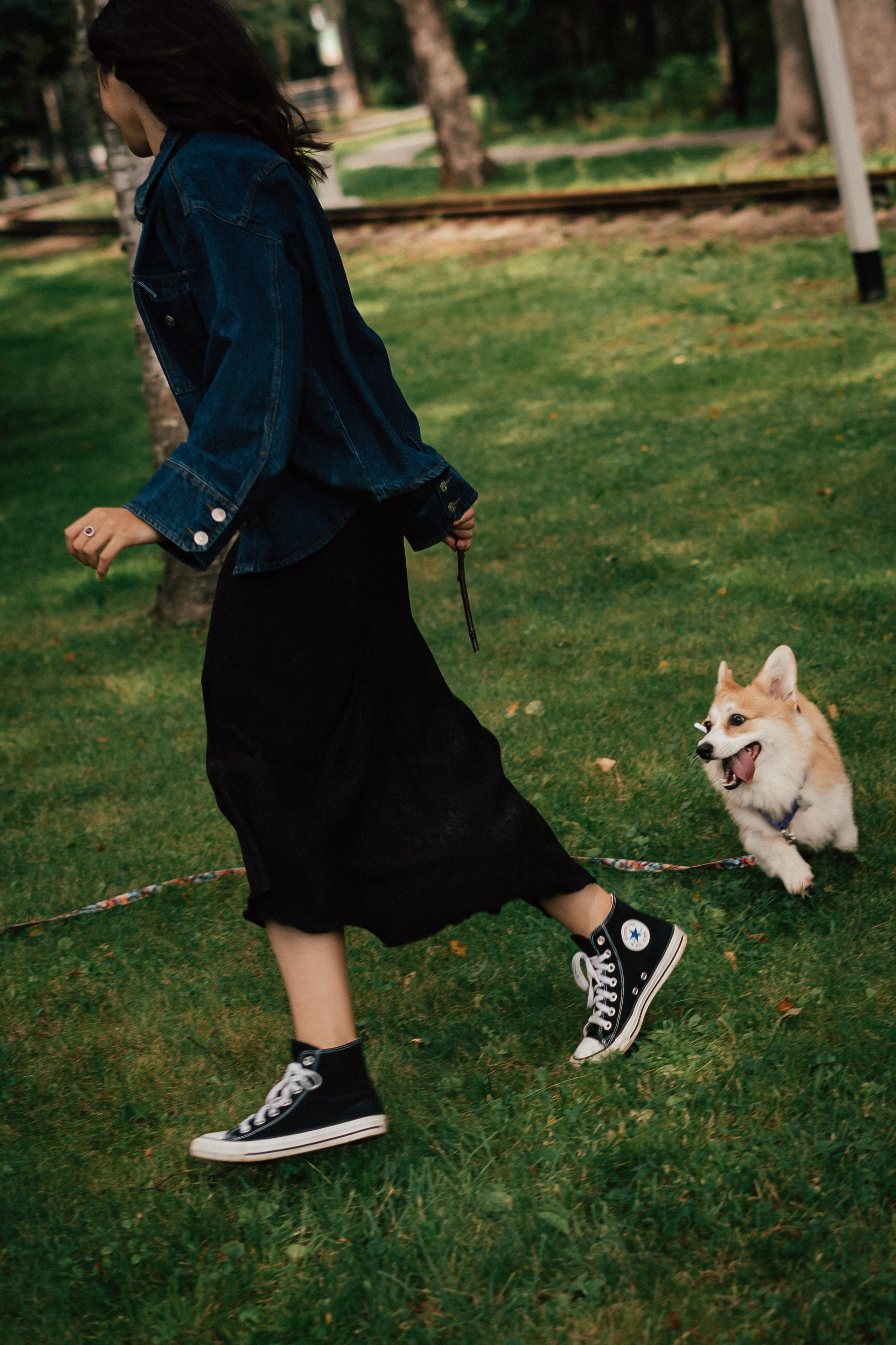 Фотосессия с собакой сахалин. Фотограф сахалин