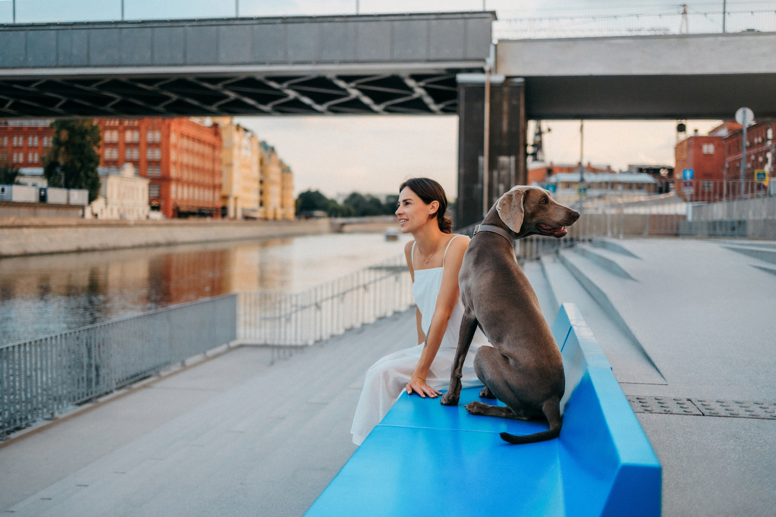 Соня и Майли. Фотограф-анималист Елена Радченко, Москва