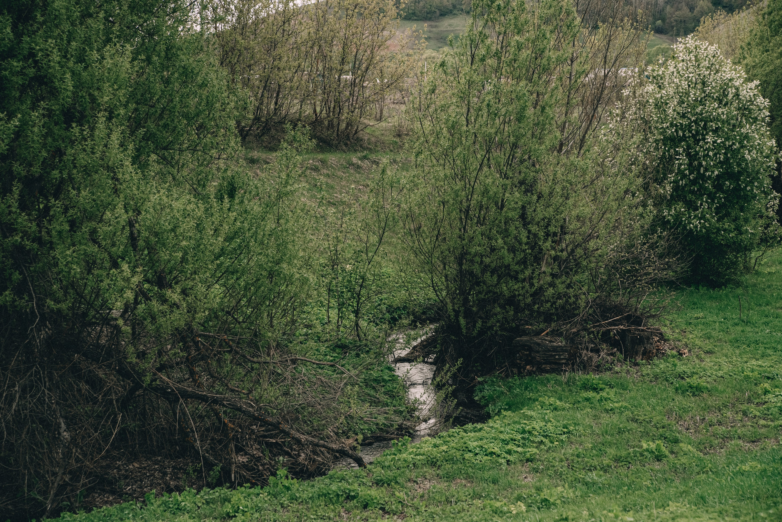 XIV Автопробег 2024 «Ветеранам глубинки — заботу и внимание» (маршрут № 3). Фотограф в Самаре Елена Фомина