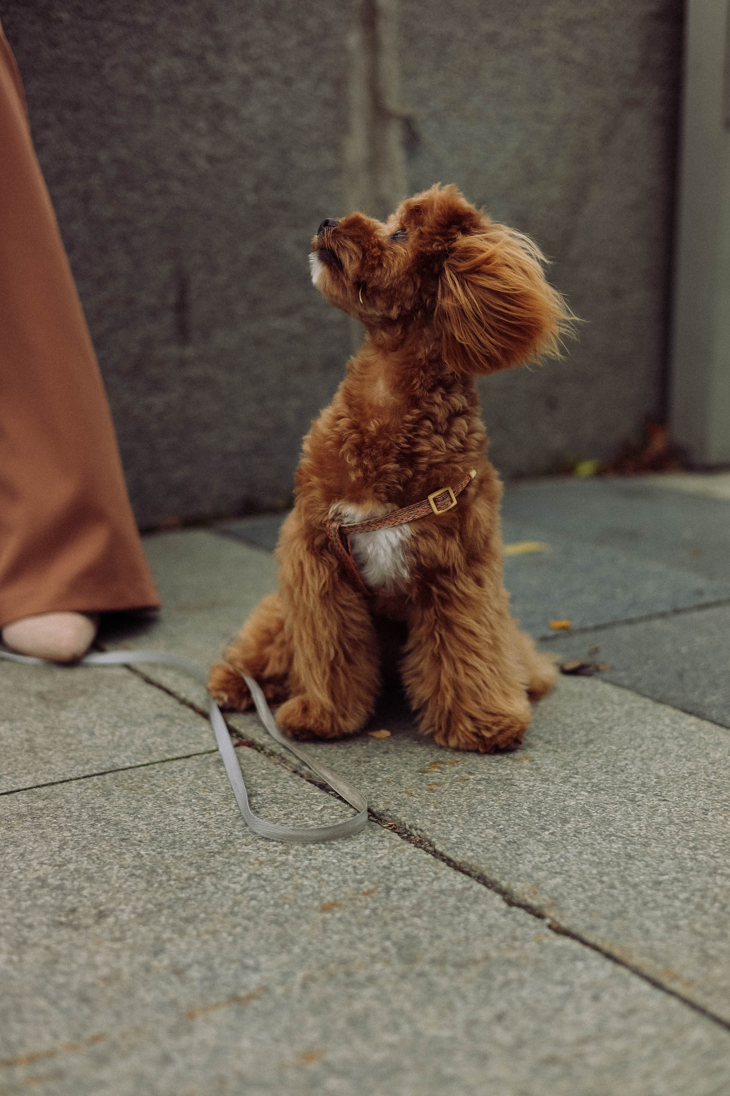 Кира. Фотограф в Москве Анастасия Калинина