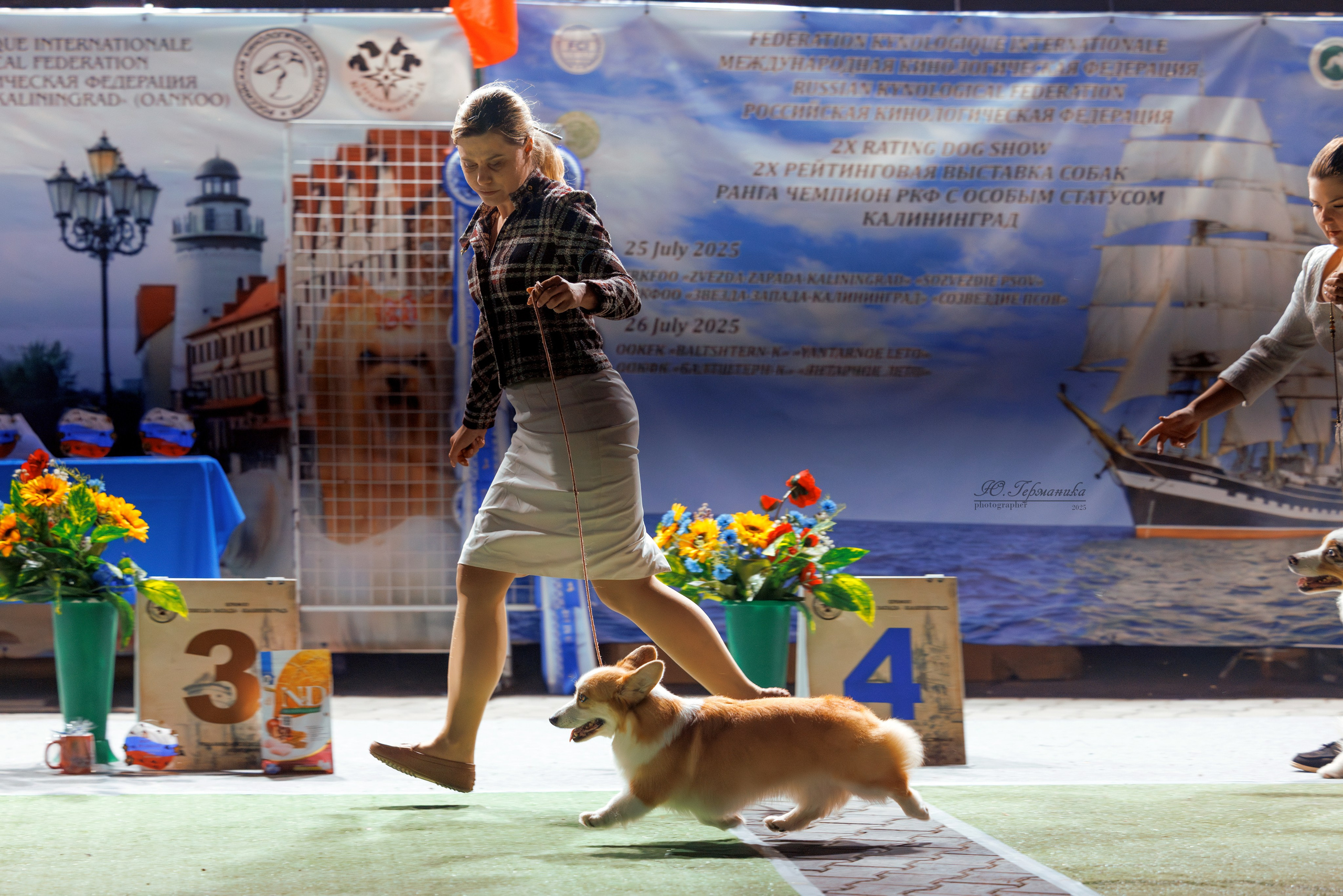Калининград 25-27.07 Волгоград 1-3.08 2025. Фотограф-анималист Юлия Германика