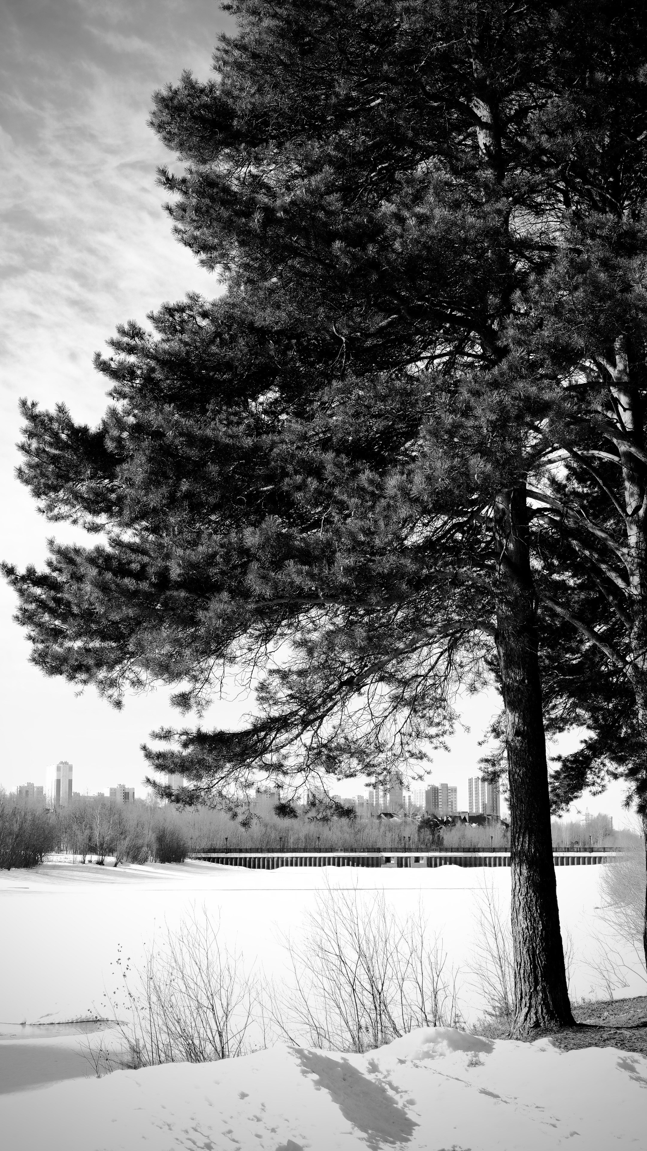 Пейзажи. Репортажный и семейный фотограф — Шелихов Сергей