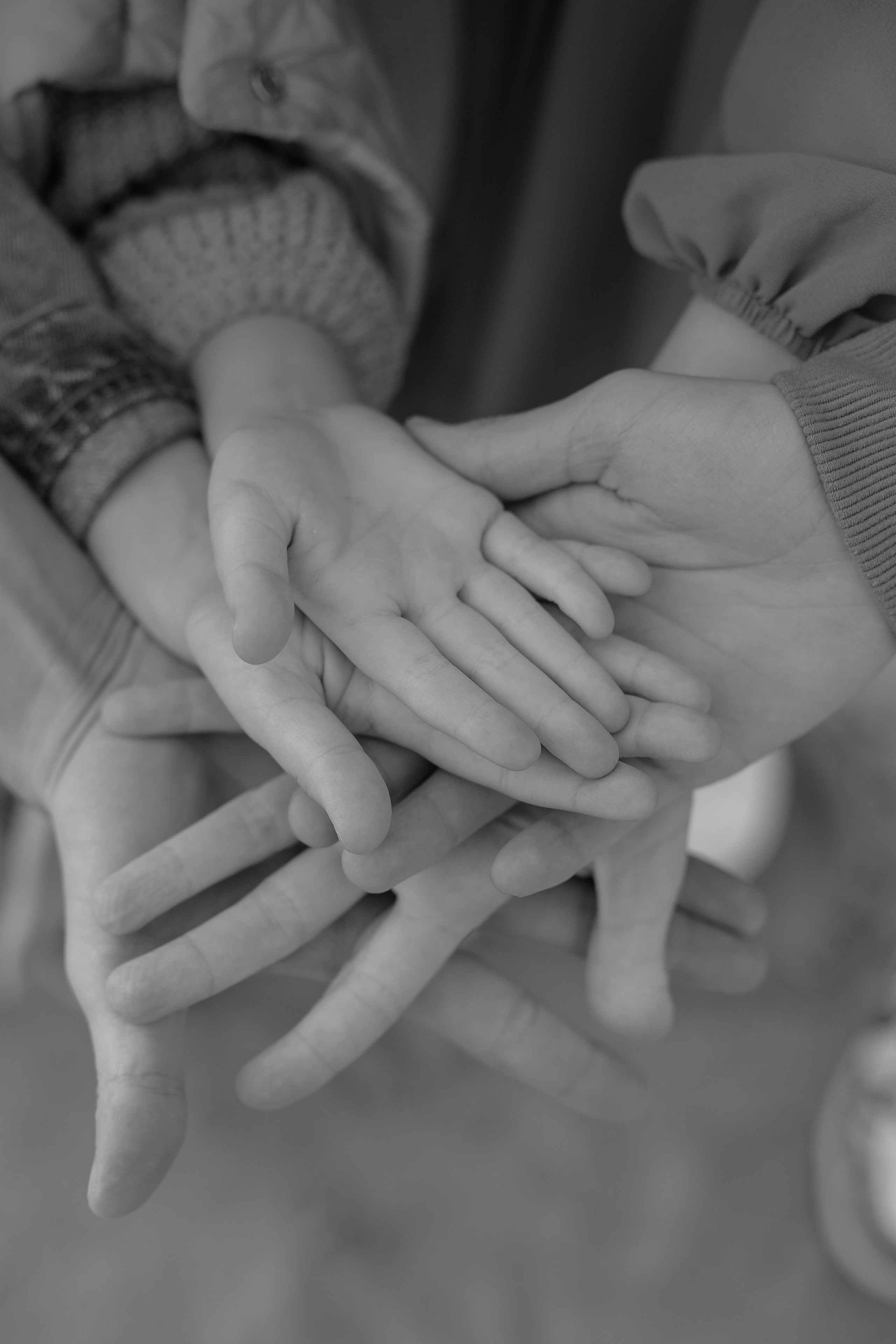 Елена, Дима, Леша, Саша, Маша и Бим. Филинская. Фотограф в Калининграде Решетникова Алина