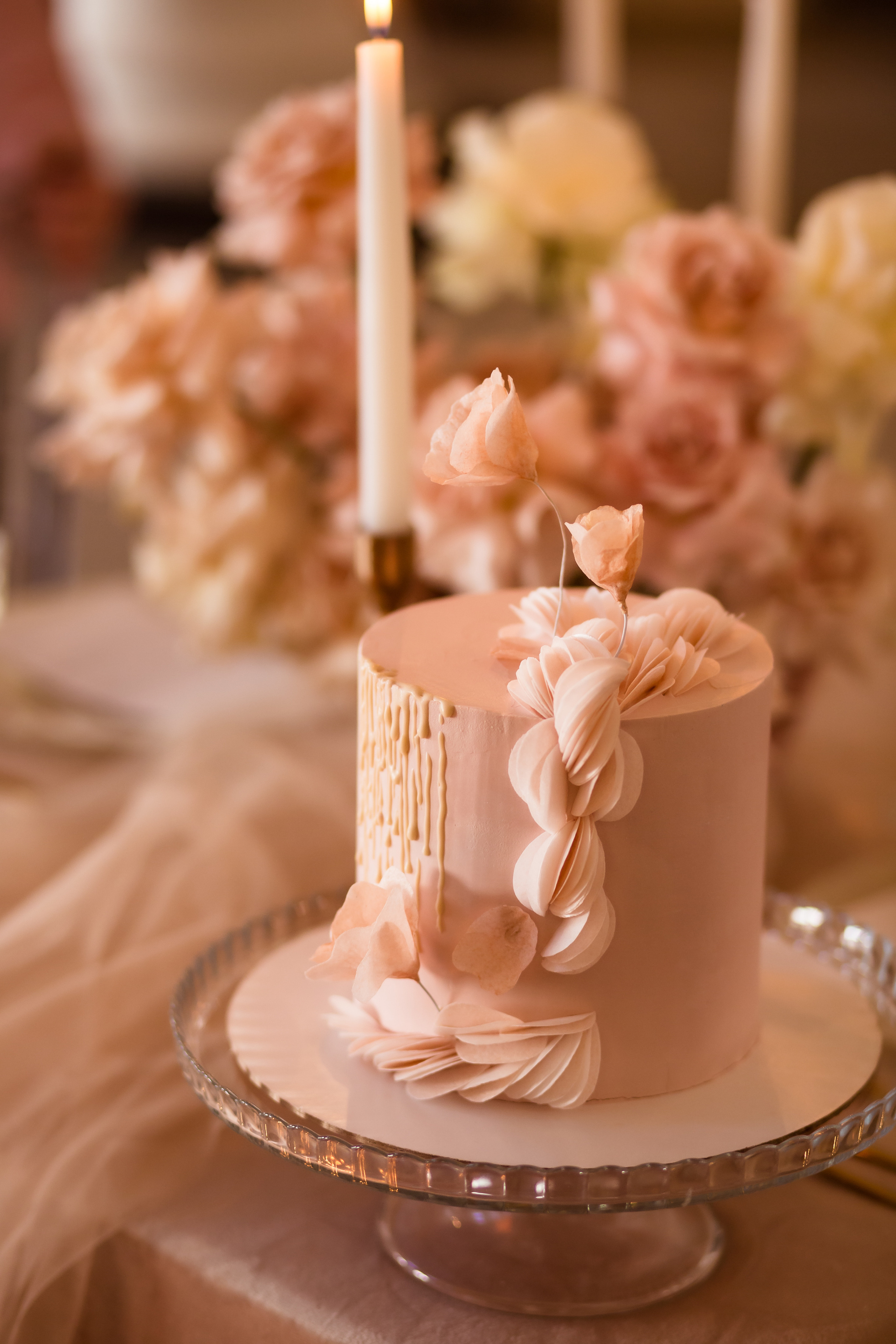 Амиль и Вероника. Часть 2. Фотограф в Калининграде Решетникова Алина