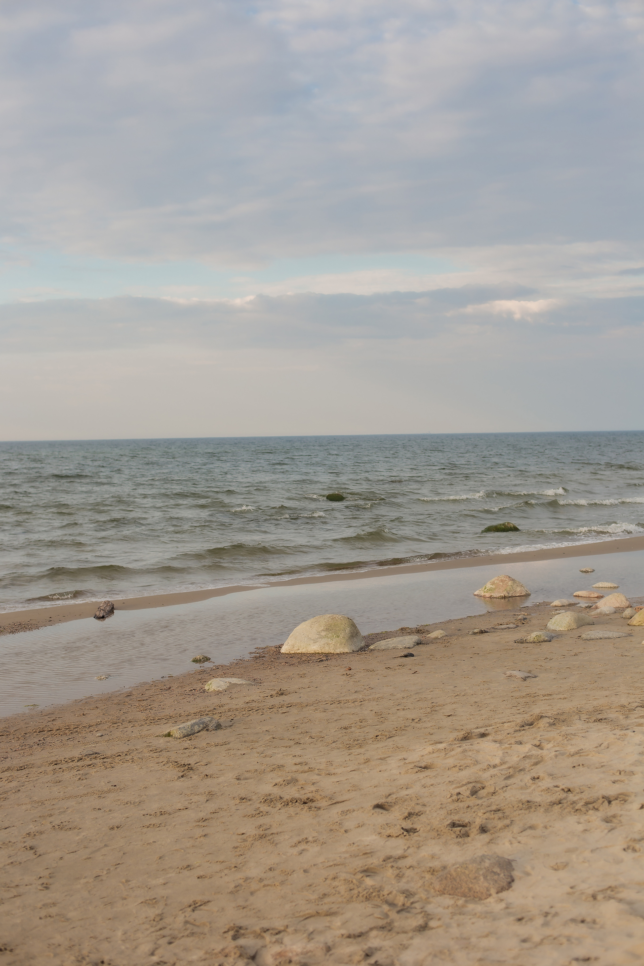 Елена, Дима, Леша, Саша, Маша и Бим. Филинская. Фотограф в Калининграде Решетникова Алина