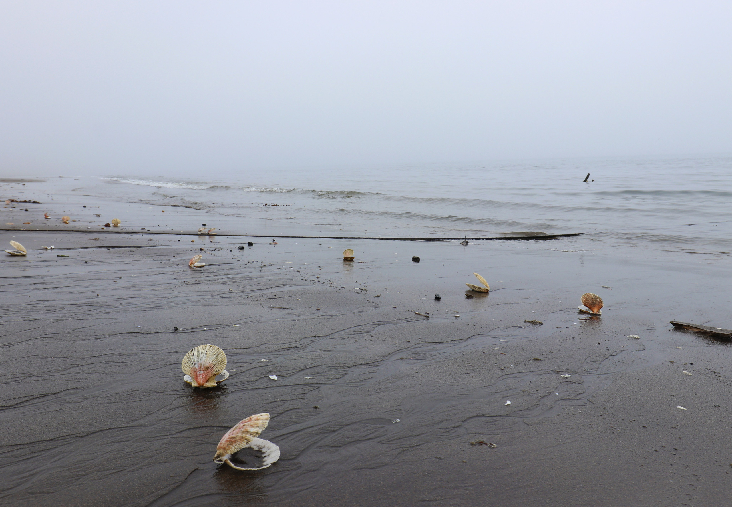 Камчатка и о. Парамушир. Июль 2024. Путешественник-фотограф из Санкт-Петербурга Татьяна Свистулина