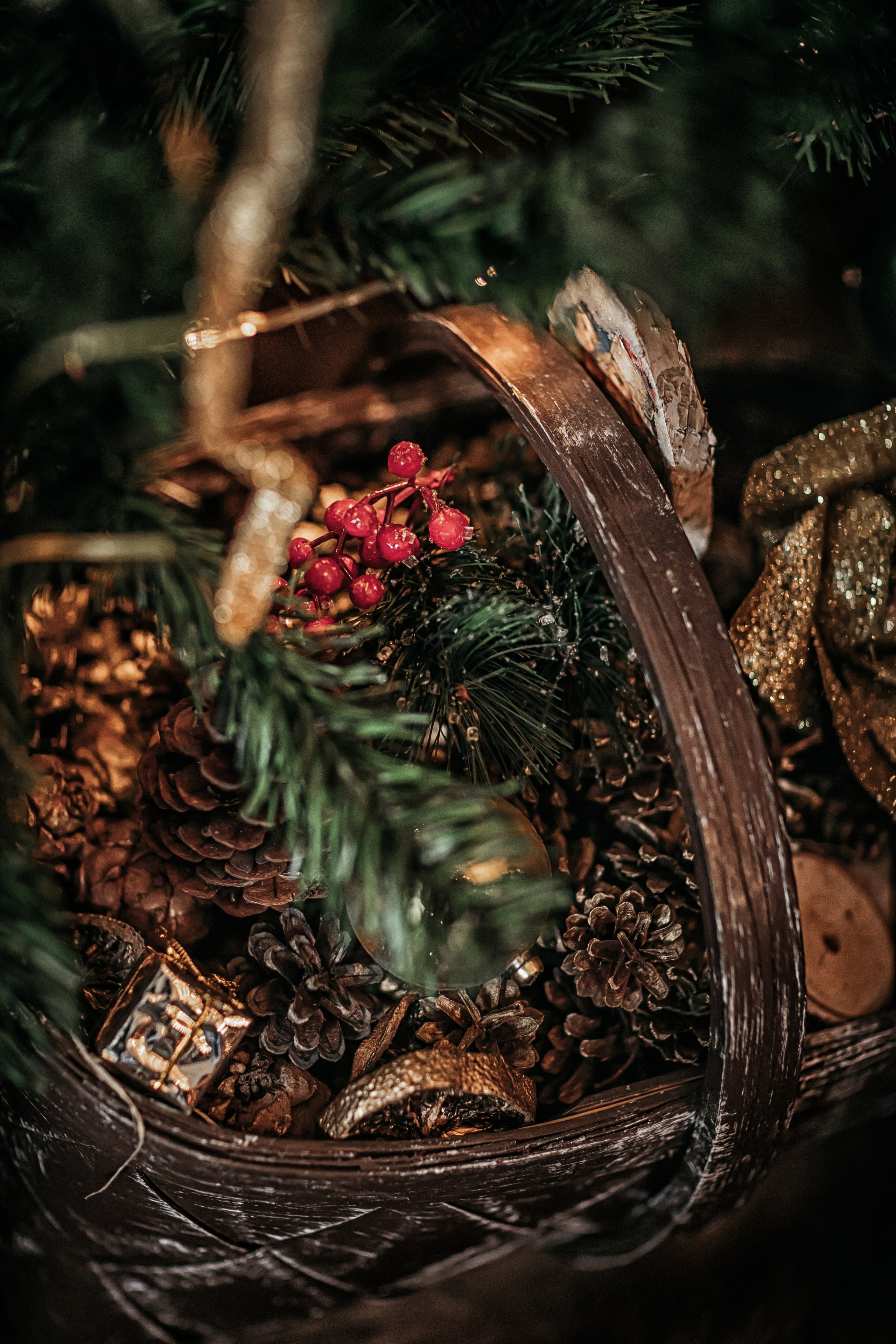 Письмо Деду Морозу. Фотограф в Канске Нина Пуряева