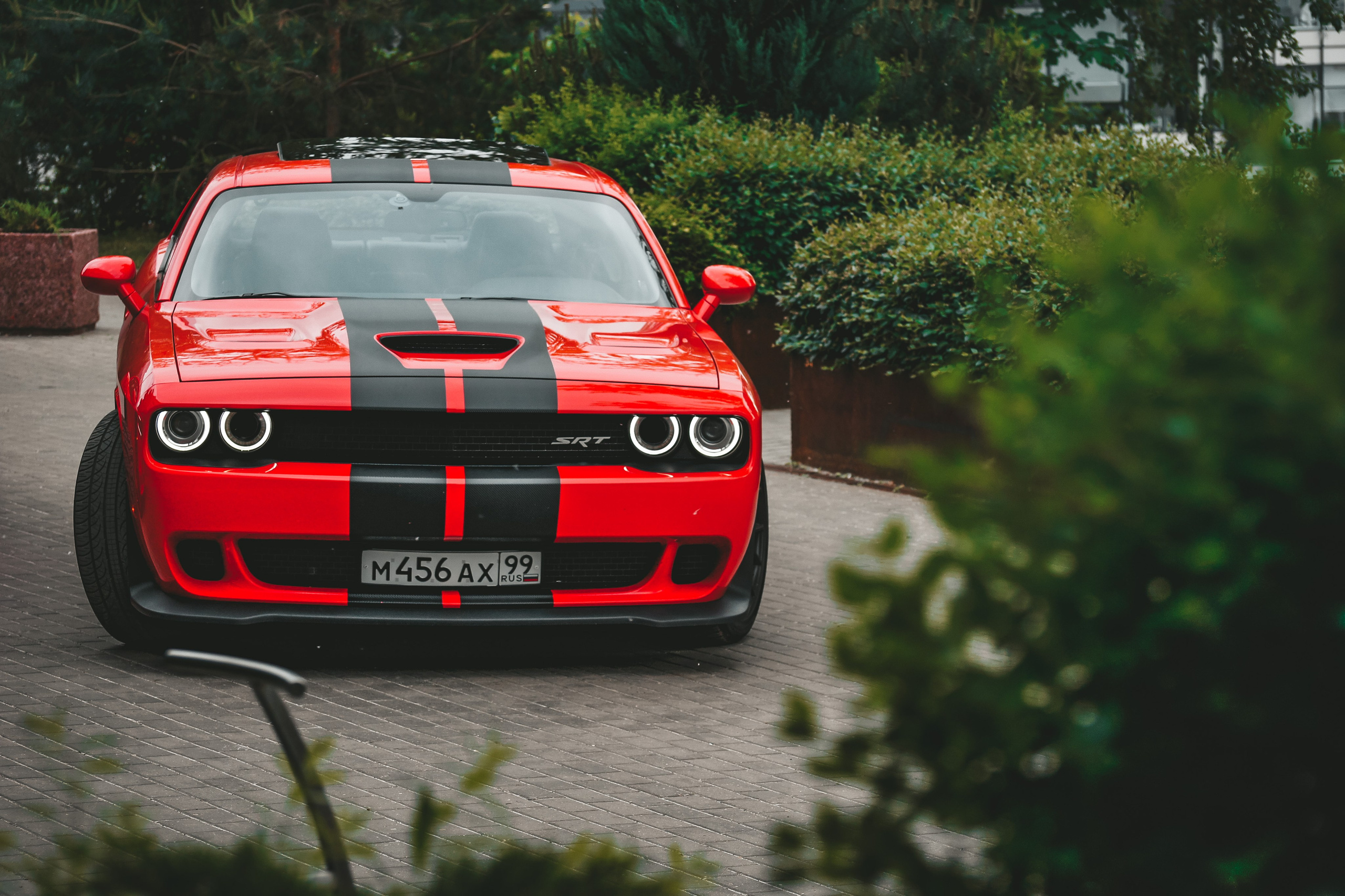 Контакты. Творческий фотограф Москва и МО Юлия Широкова