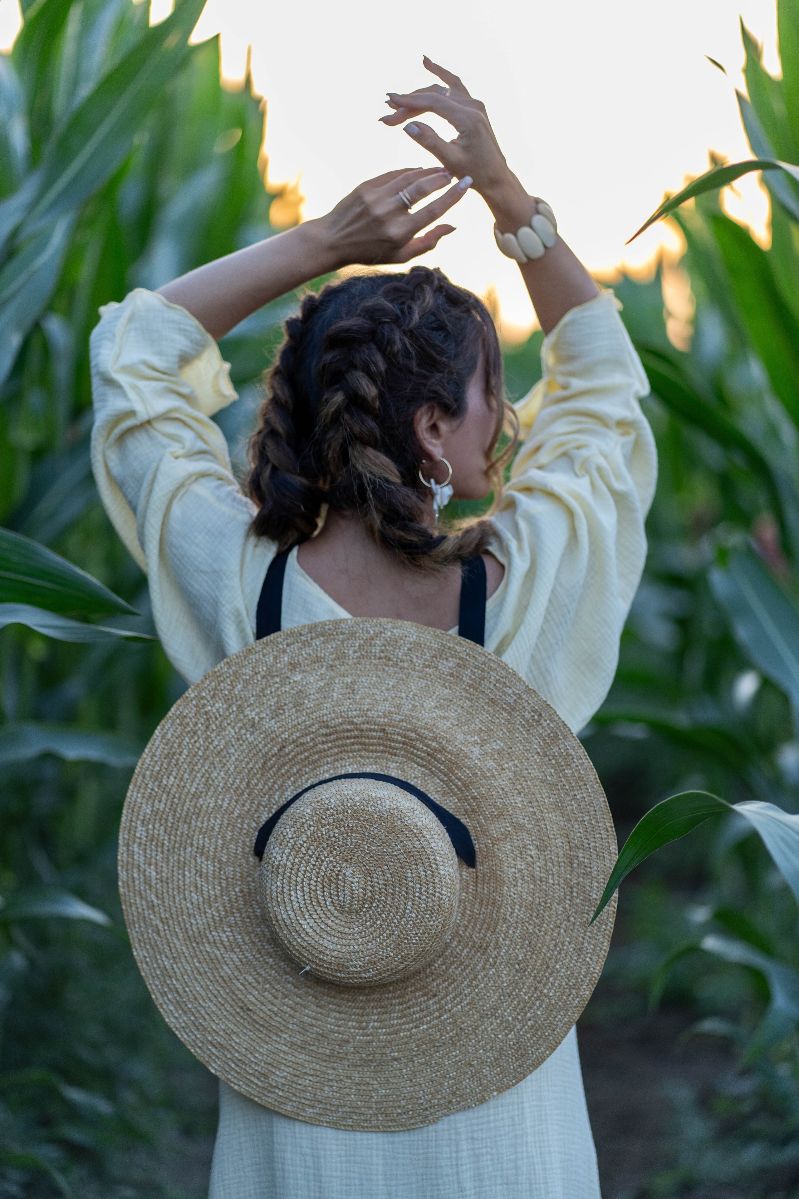 Кукурузное поле. Главная