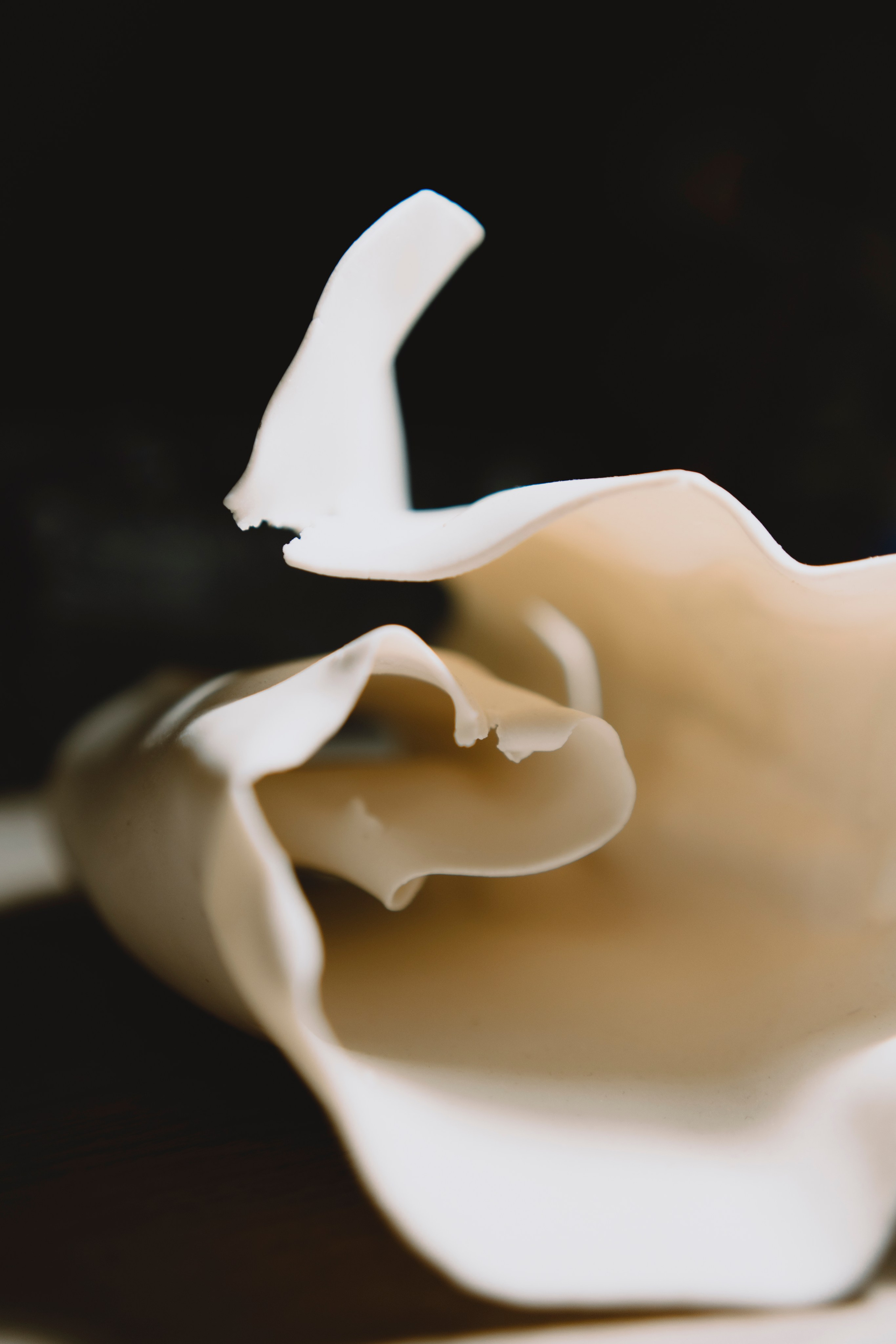 Masterskaya project. Фотограф Юлия Маркелова