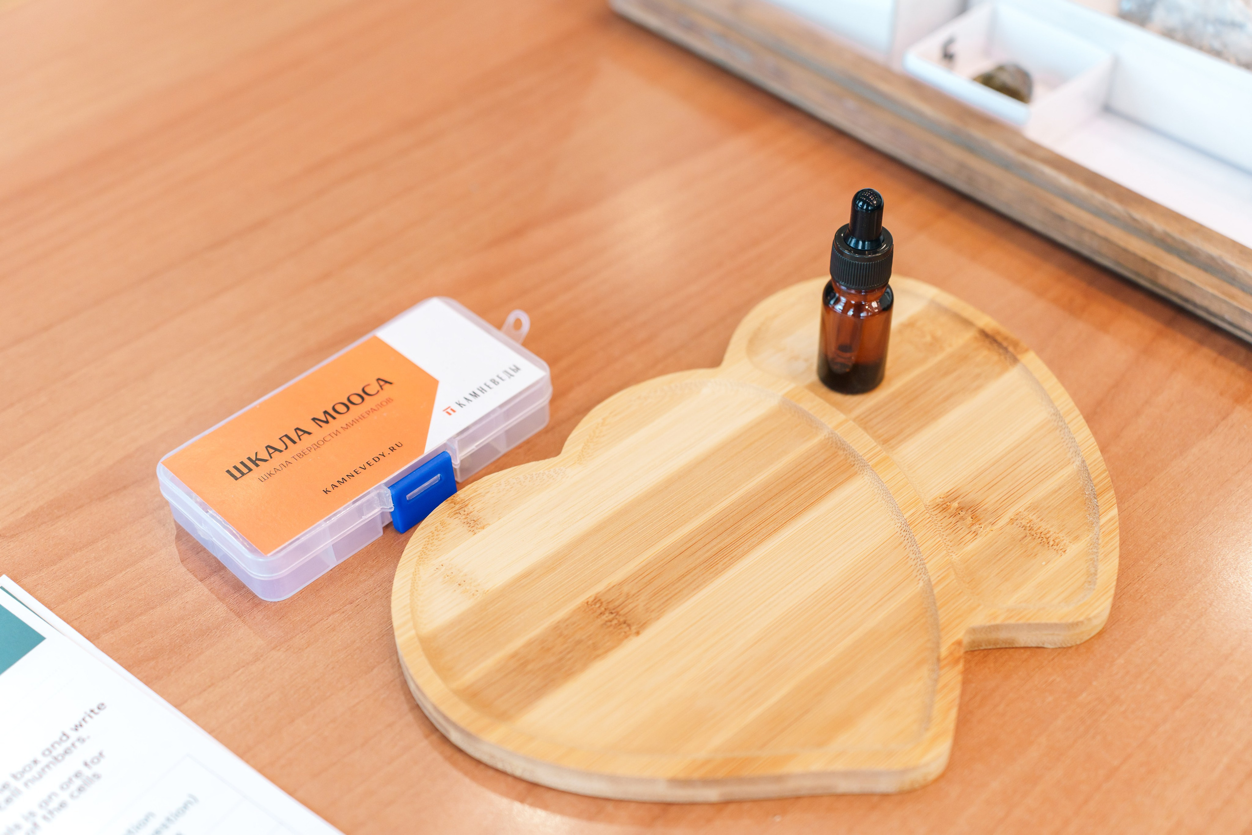 Первый чемпионат мира по геологии 2025. Фотограф в Санкт-Петербурге Ибрагимова Алина