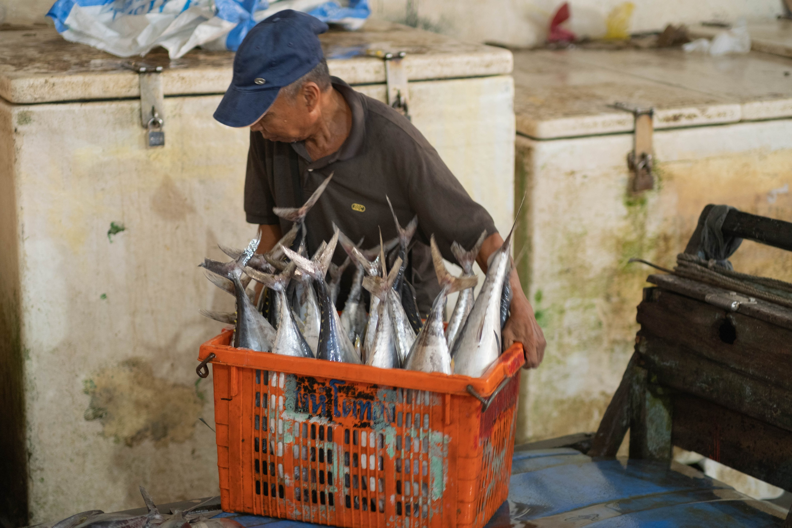 О. Борнео, г. Сандакан. Порт и рынок. Фотографии из путешествий