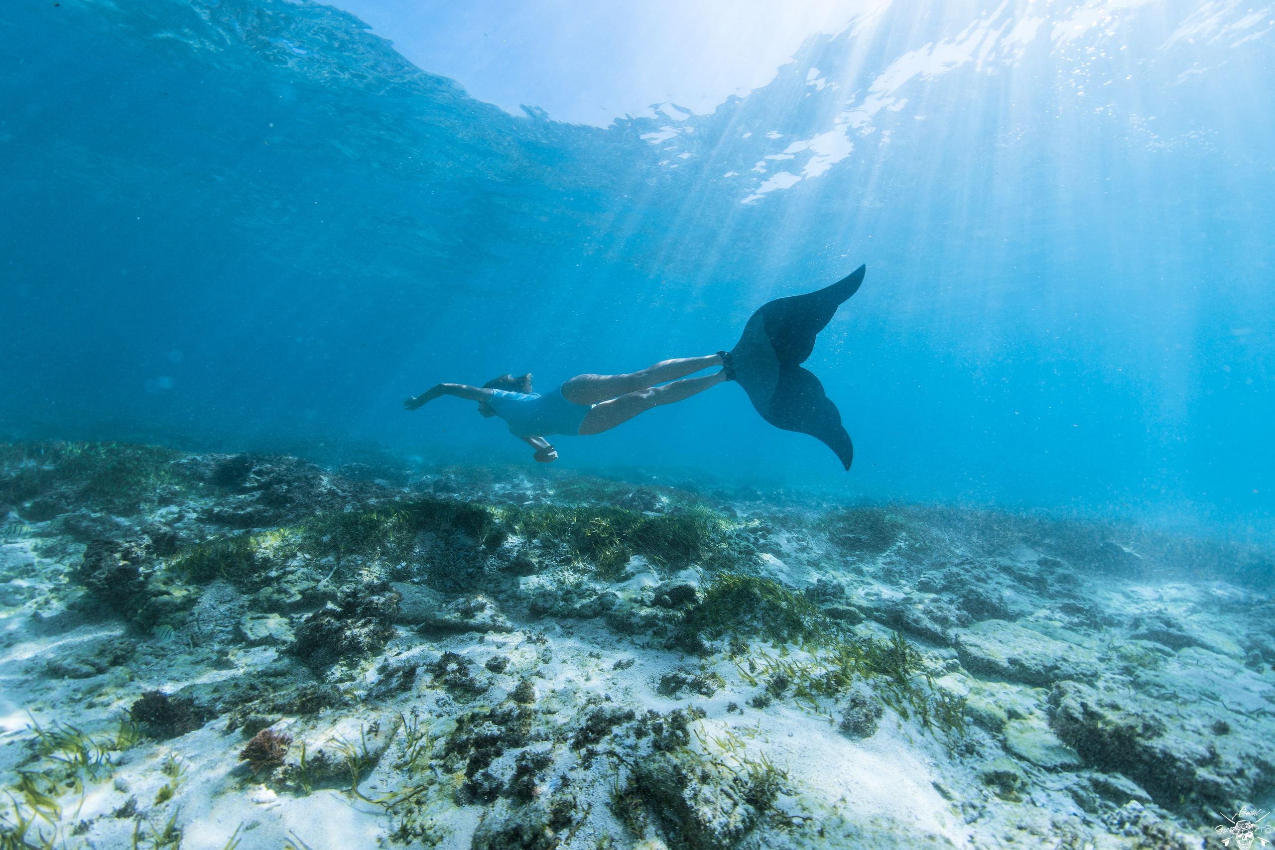 Underwater Photos. Лайфстайл Фотограф и Профессиональный Водный Фотограф в Москве