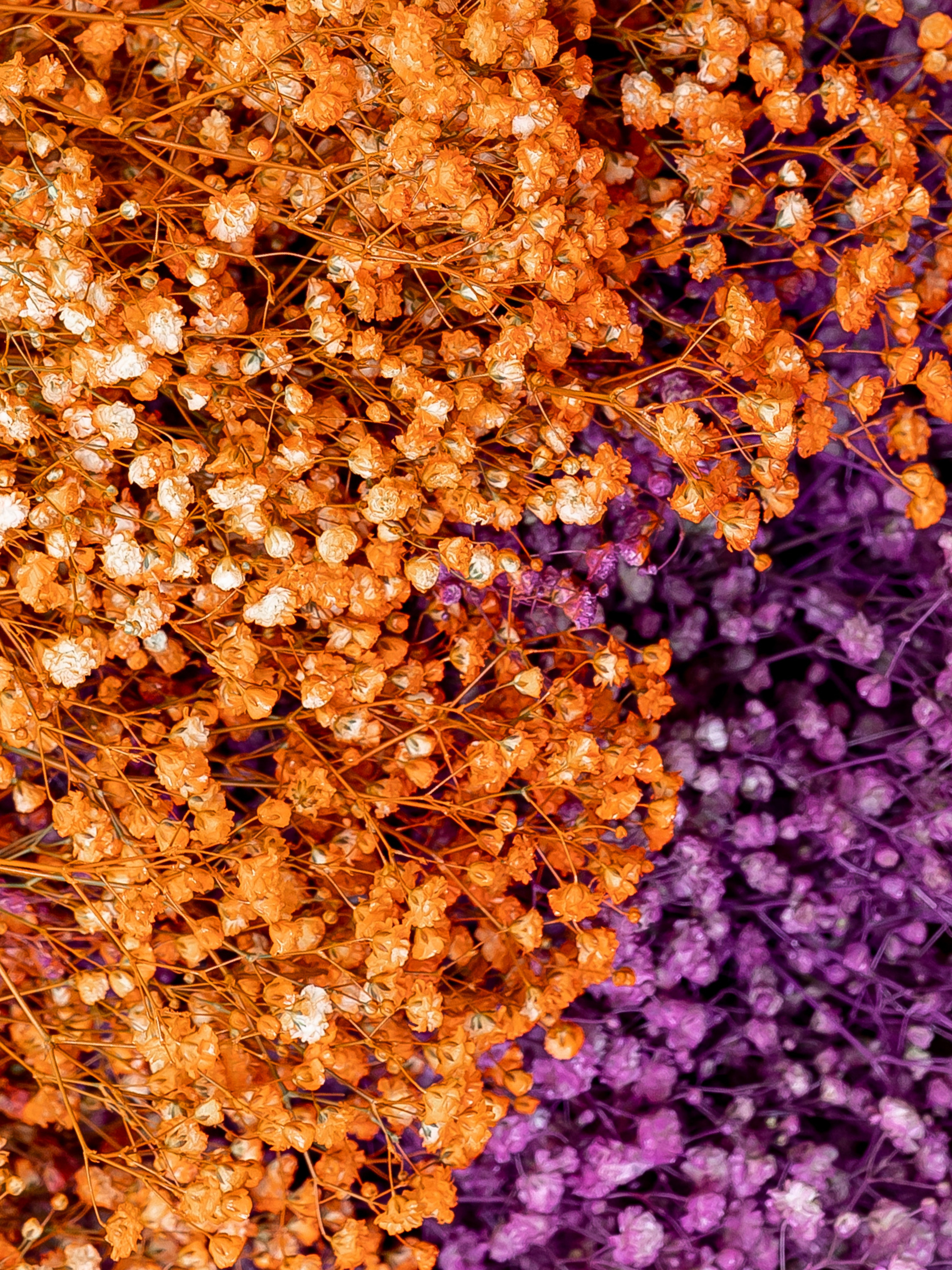 Backstage свадебного агентства Vozdukh_Weddings. Свадебный фотограф Колесников Антон