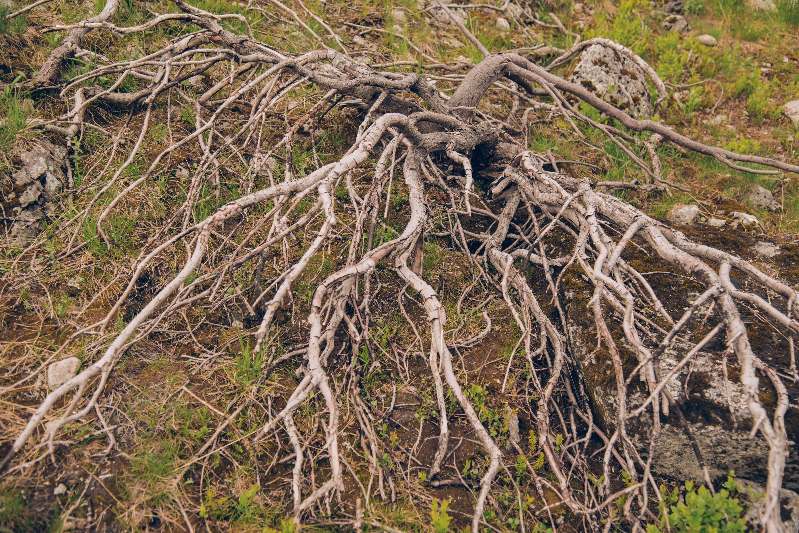 Кольский полуостров. Фотографирую для себя, своей семьи и друзей!